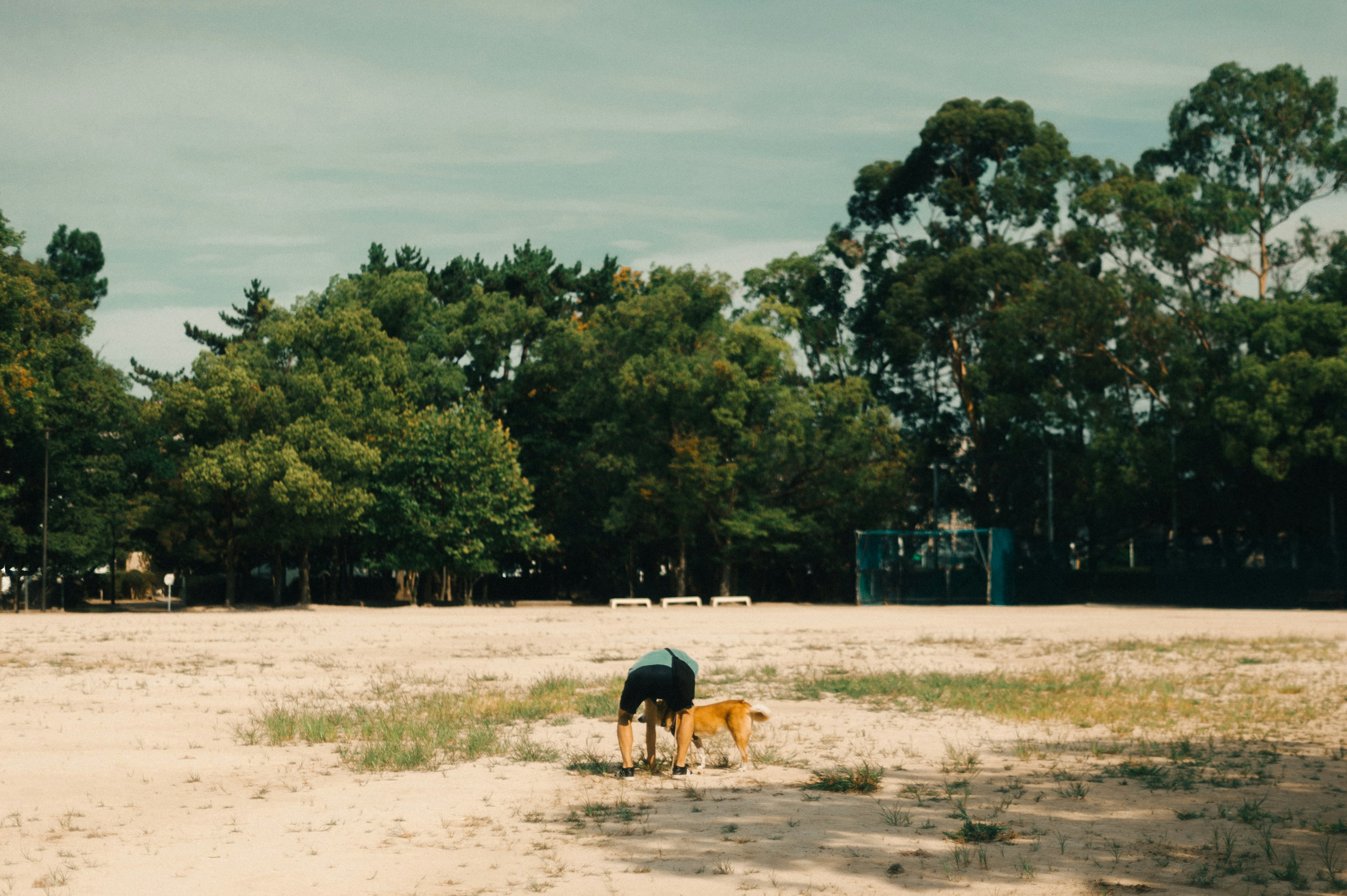 Persona con un perro en un parque rodeado de árboles verdes y arena