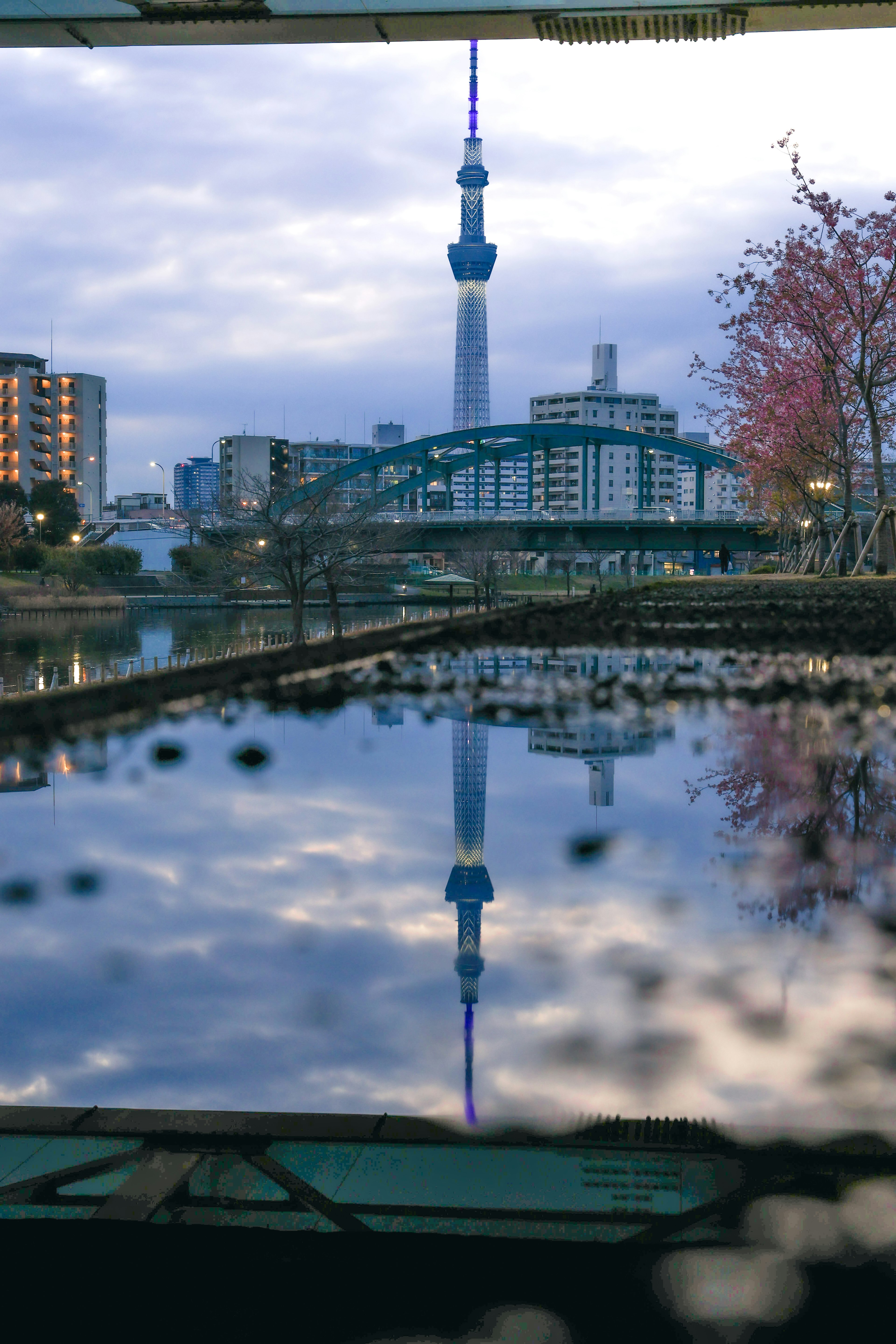 Phản chiếu của Tokyo Skytree trên mặt nước yên tĩnh với nền đô thị