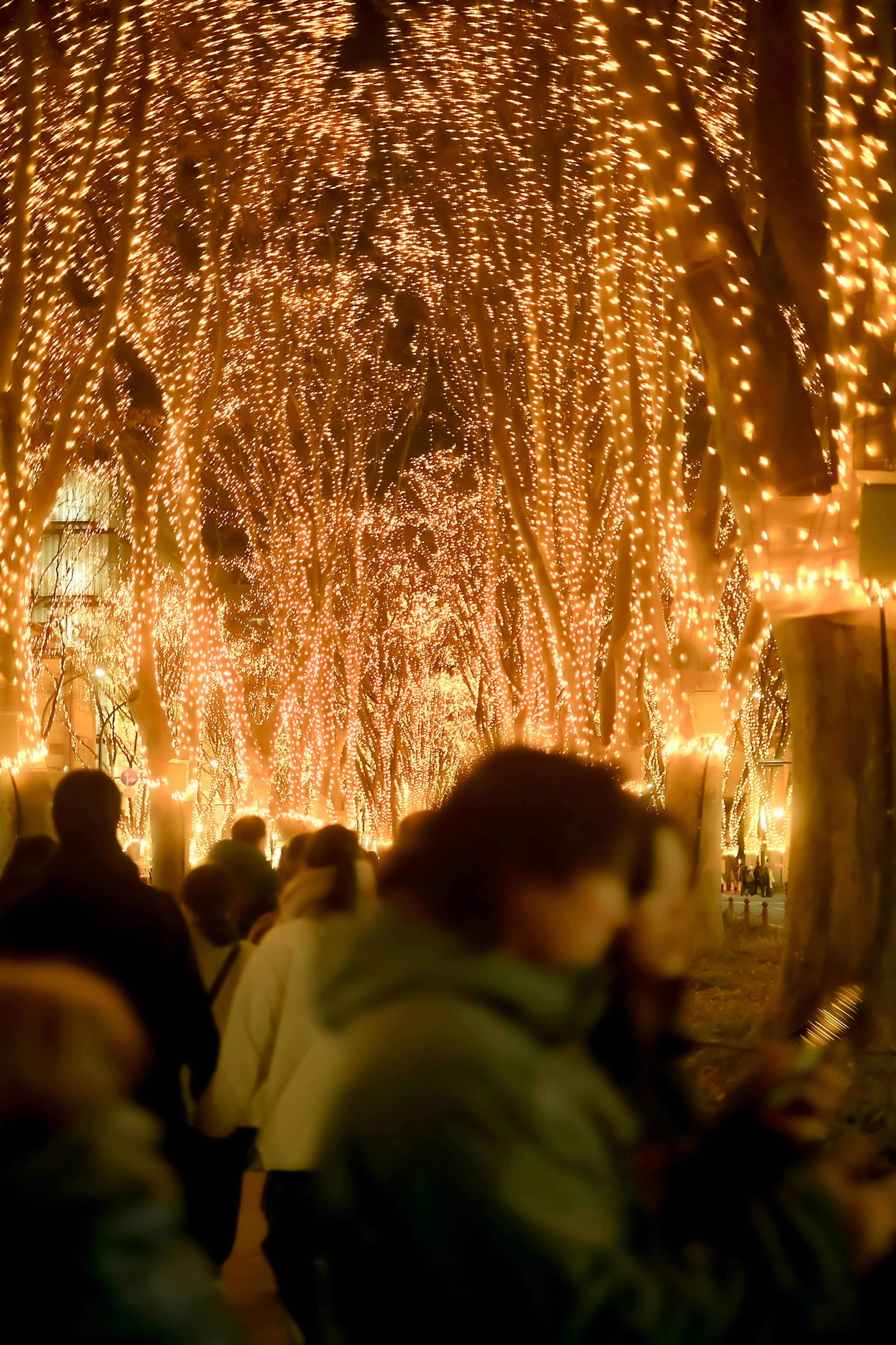 Personas caminando a través de un túnel de árboles decorados con luces por la noche