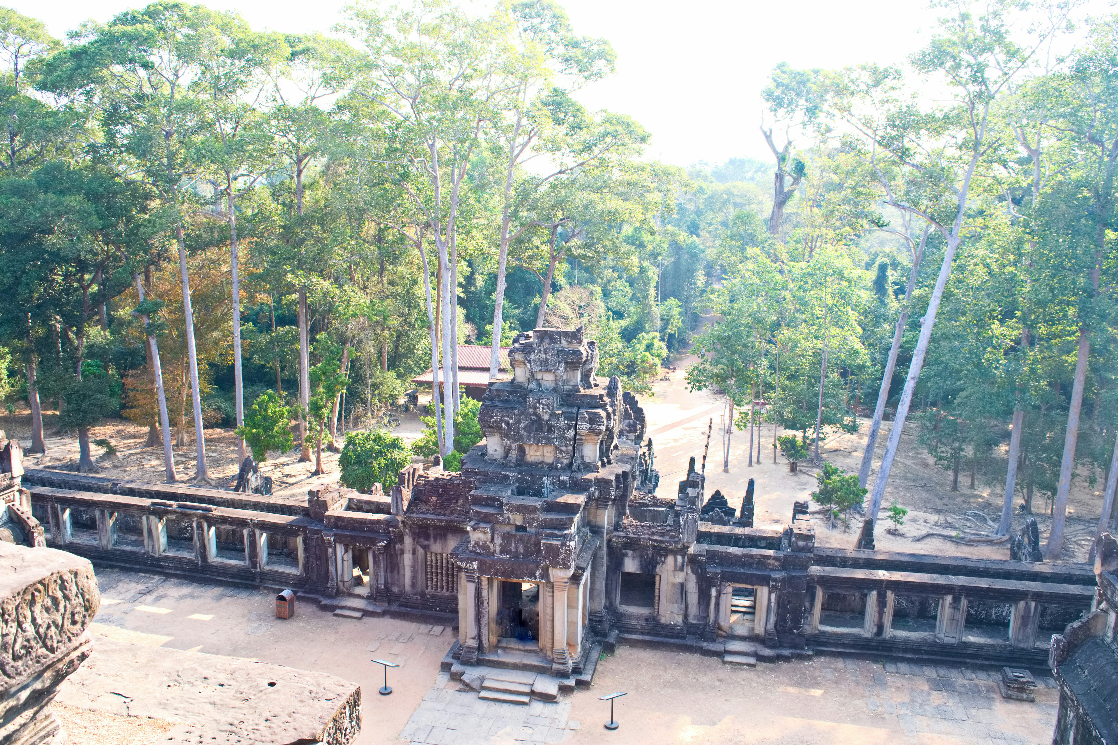 Ruinas de un templo antiguo rodeadas de un bosque frondoso