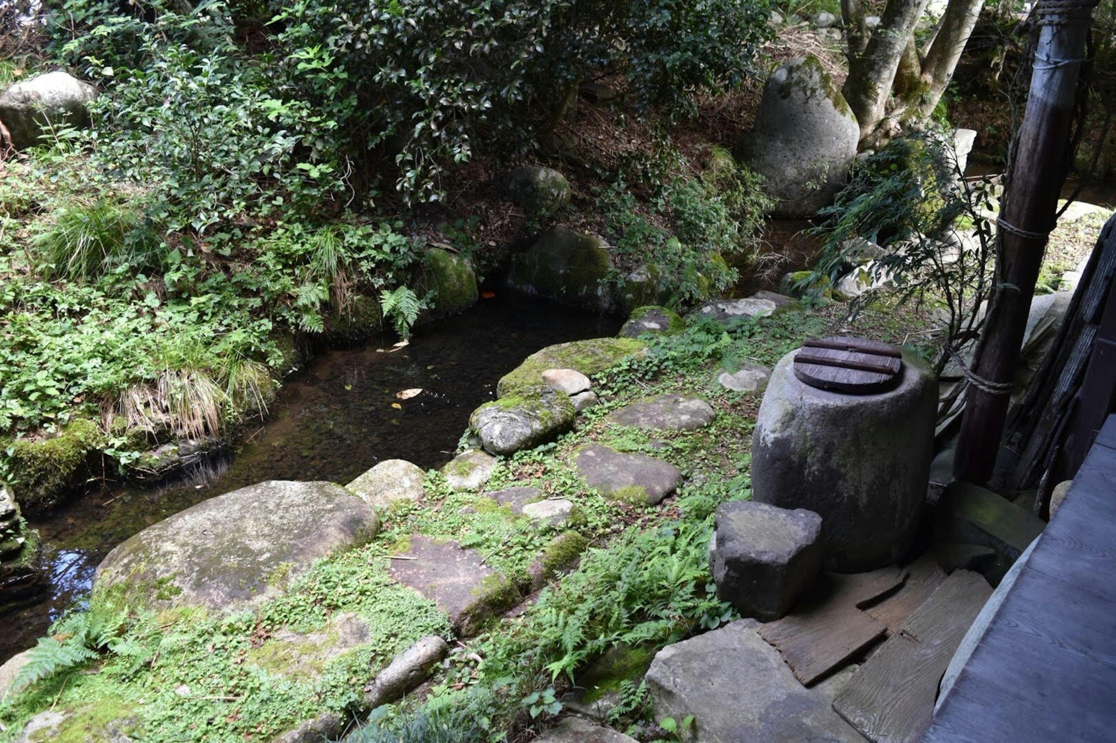 一个宁静的风景，有小溪流经郁郁葱葱的绿色植物和石头小路