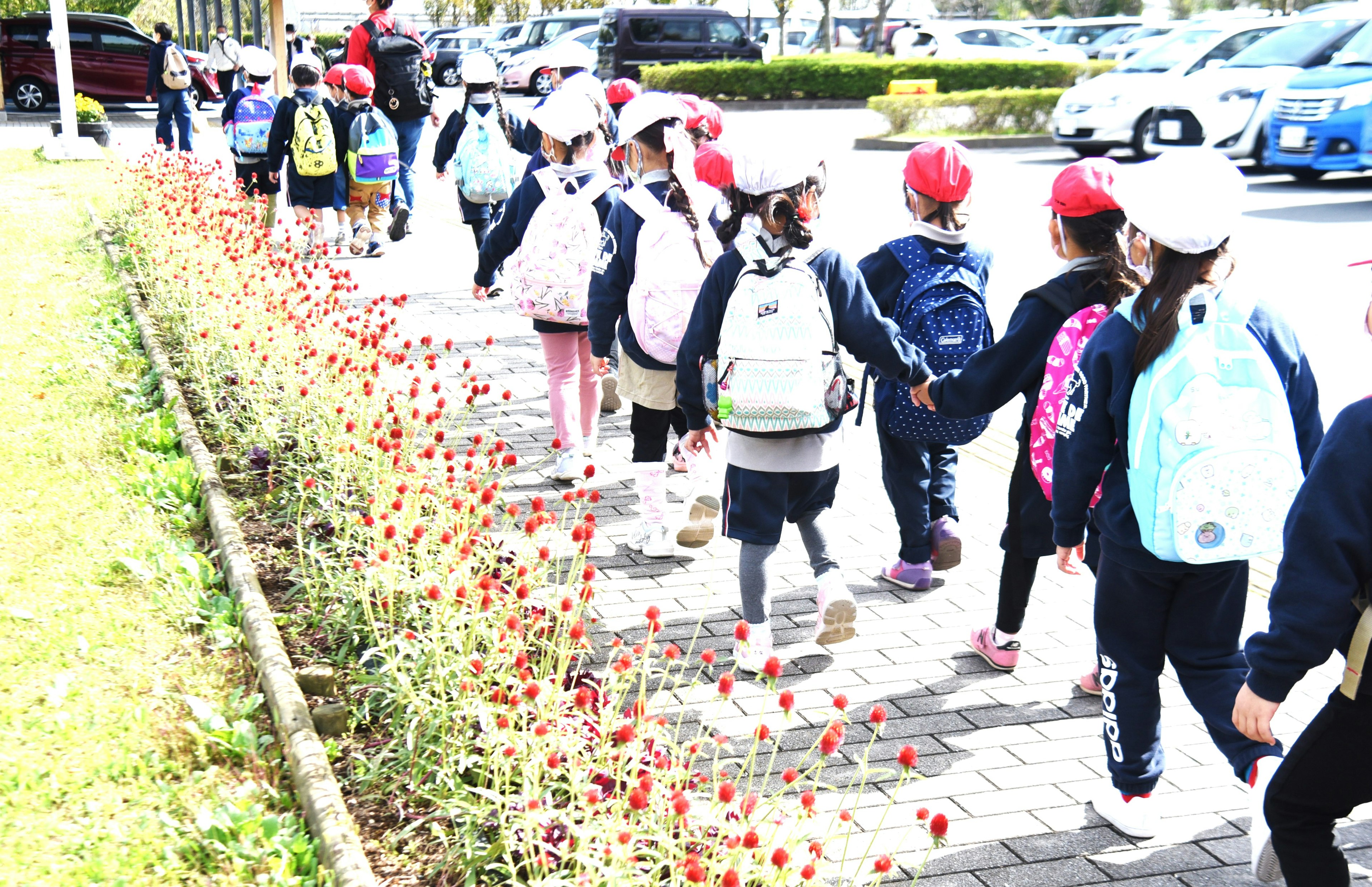 Anak-anak yang mengenakan topi merah berjalan di sepanjang jalan berbunga