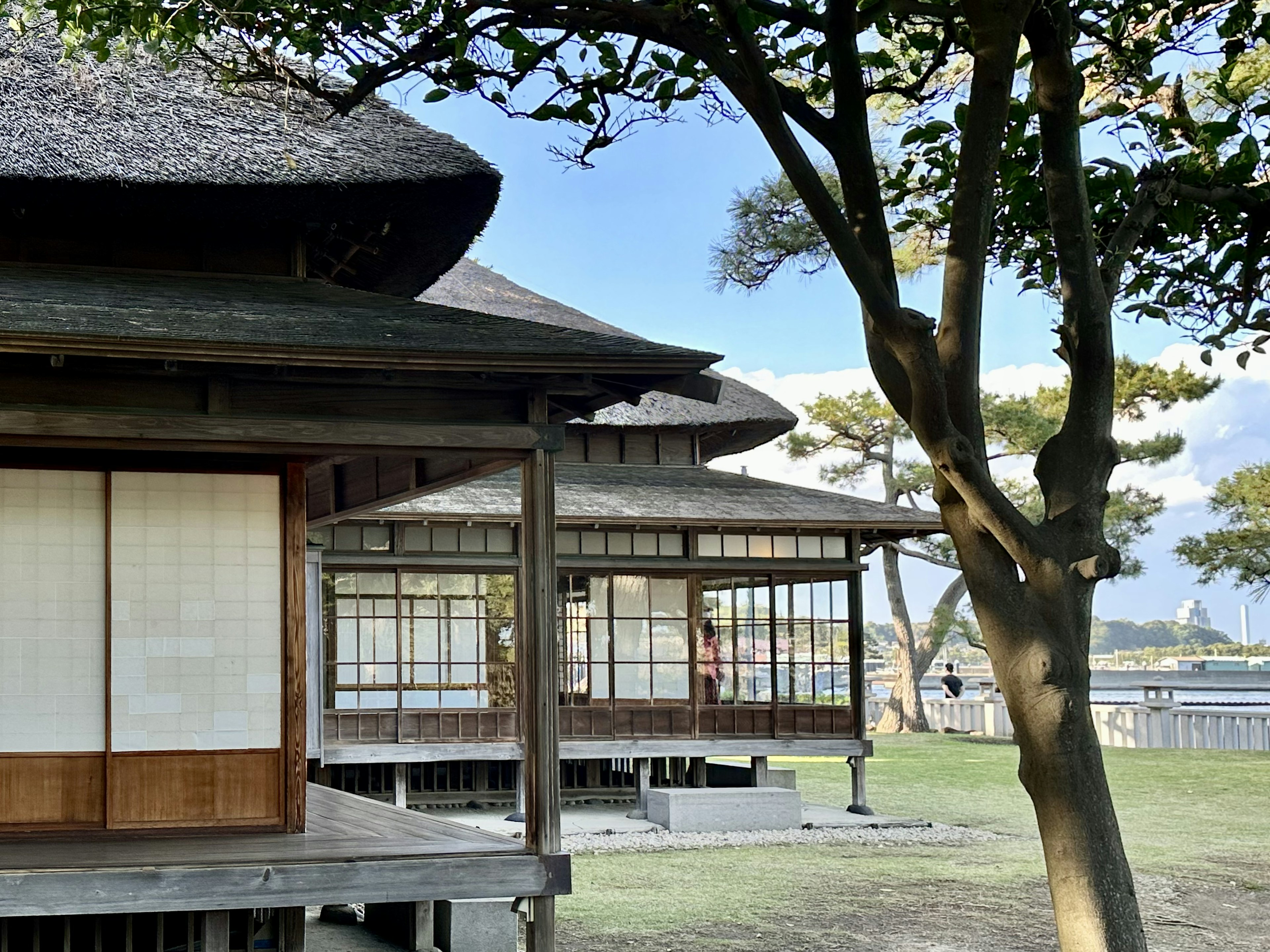 Traditional Japanese houses with thatched roofs and trees in the foreground