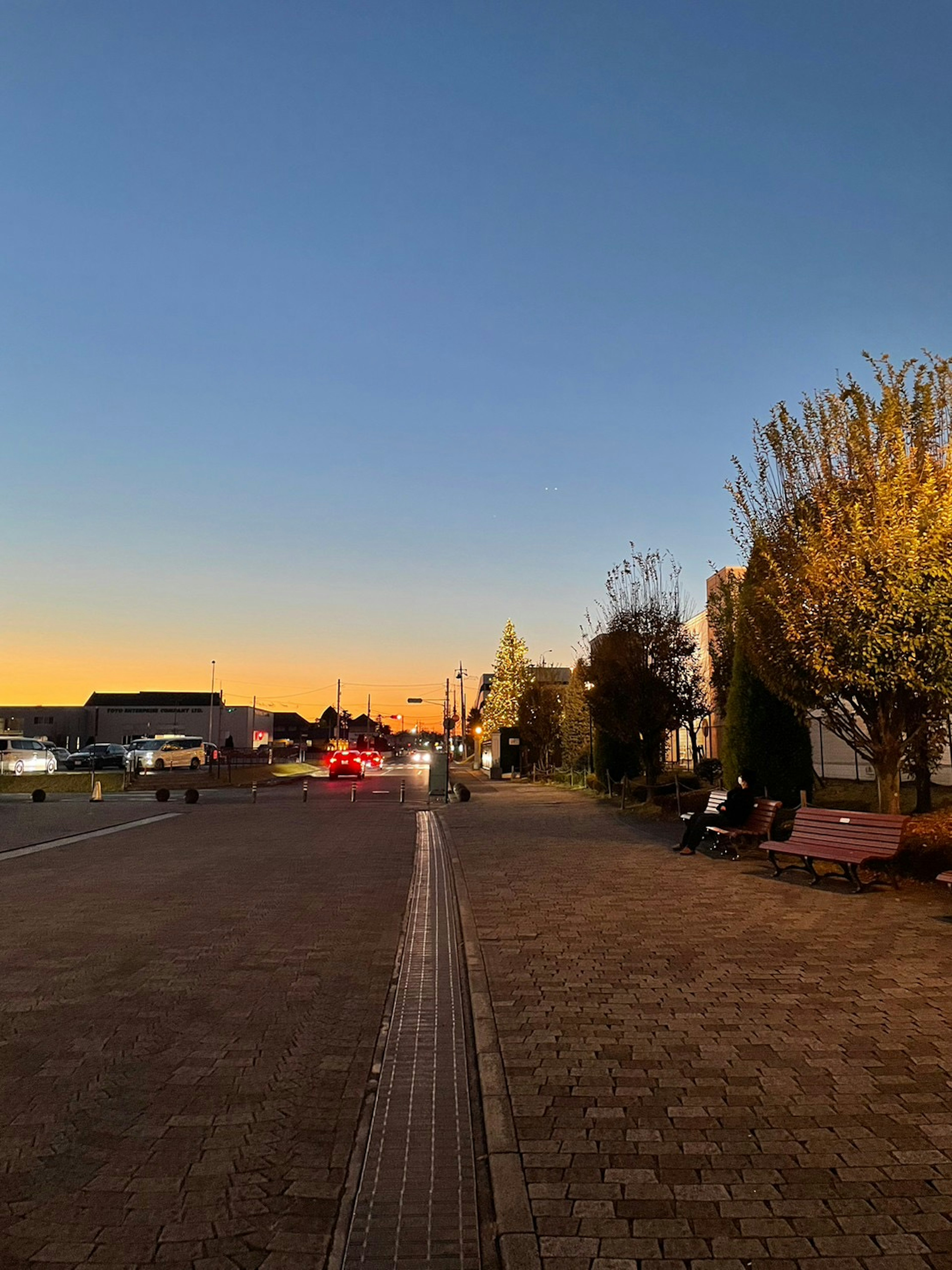 夕焼けの空が広がる街道の風景舗装された歩道と並ぶ木々