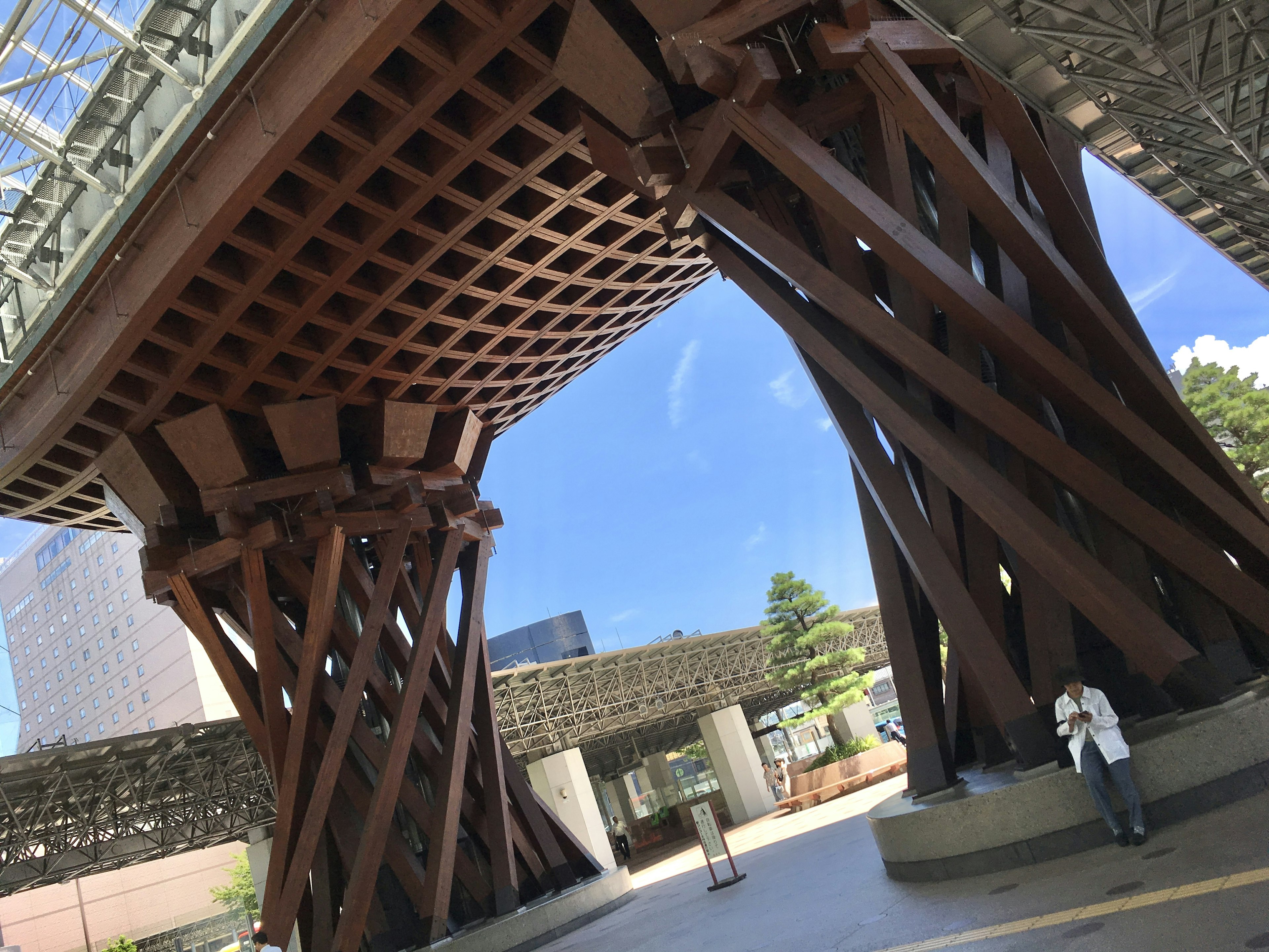 Modern architectural structure with beautiful wooden pillars viewed from underneath