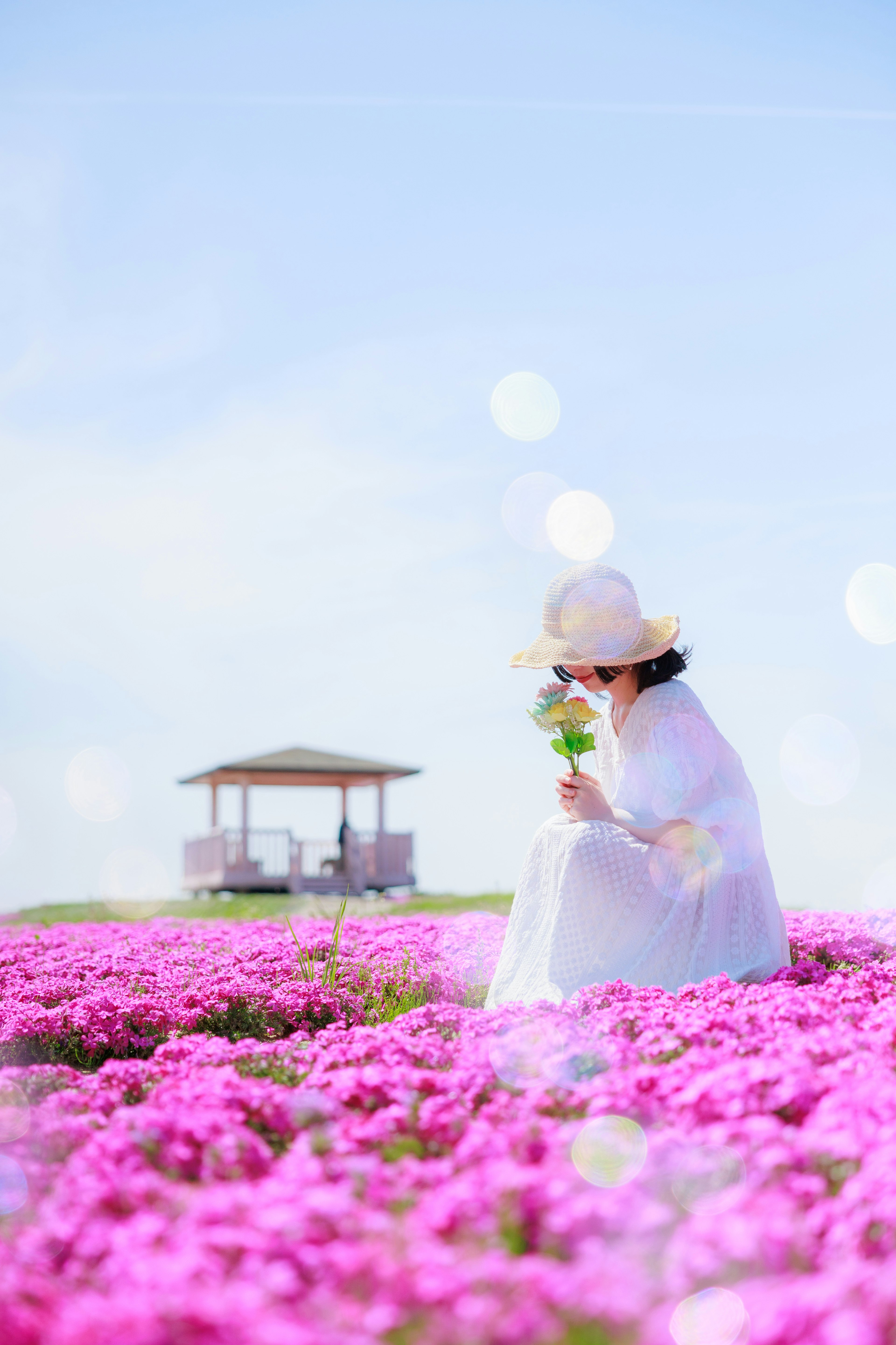 女性が白いドレスを着てピンクの花の中で座っている風景