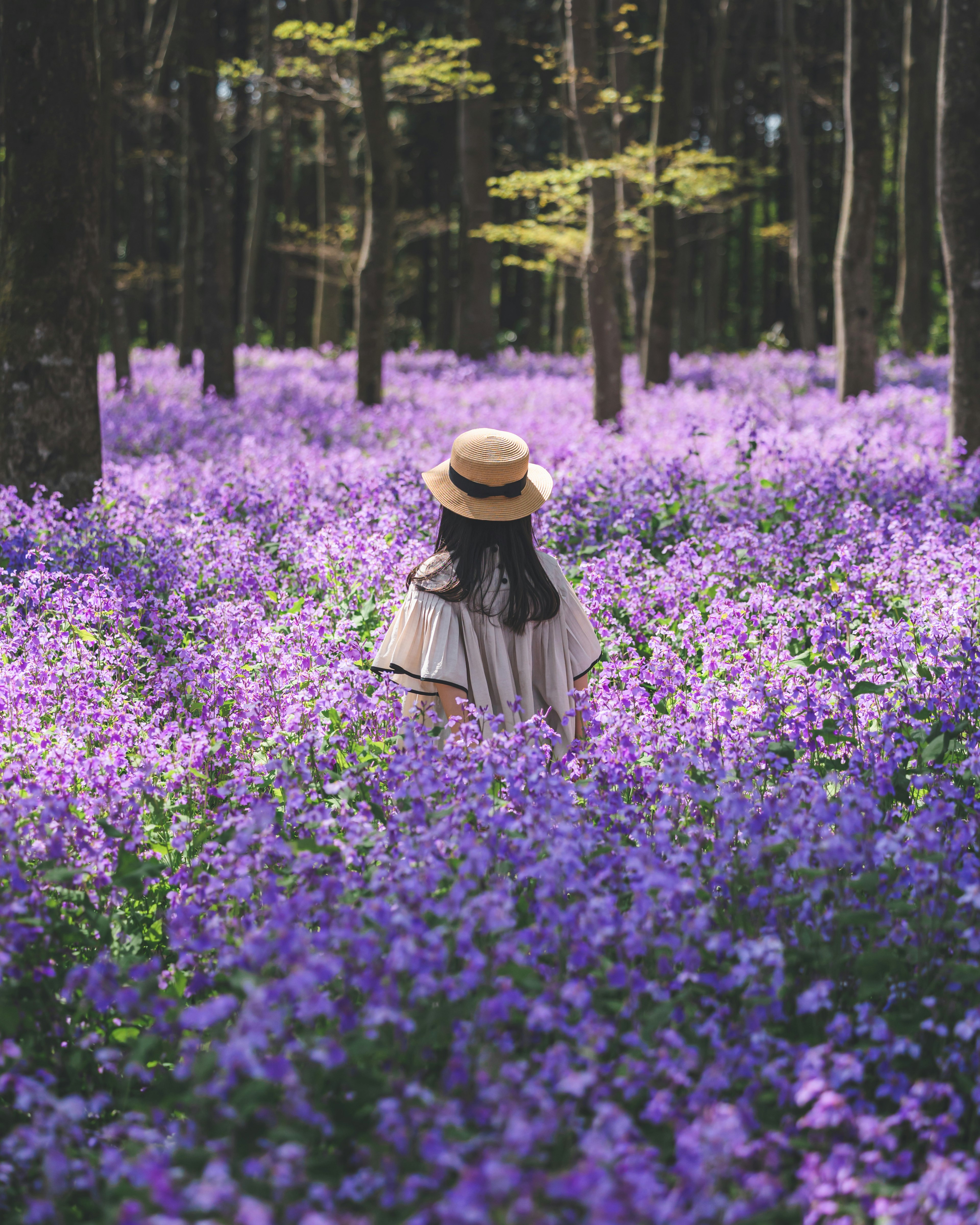 紫色の花に囲まれた女性が後ろを向いている美しい風景