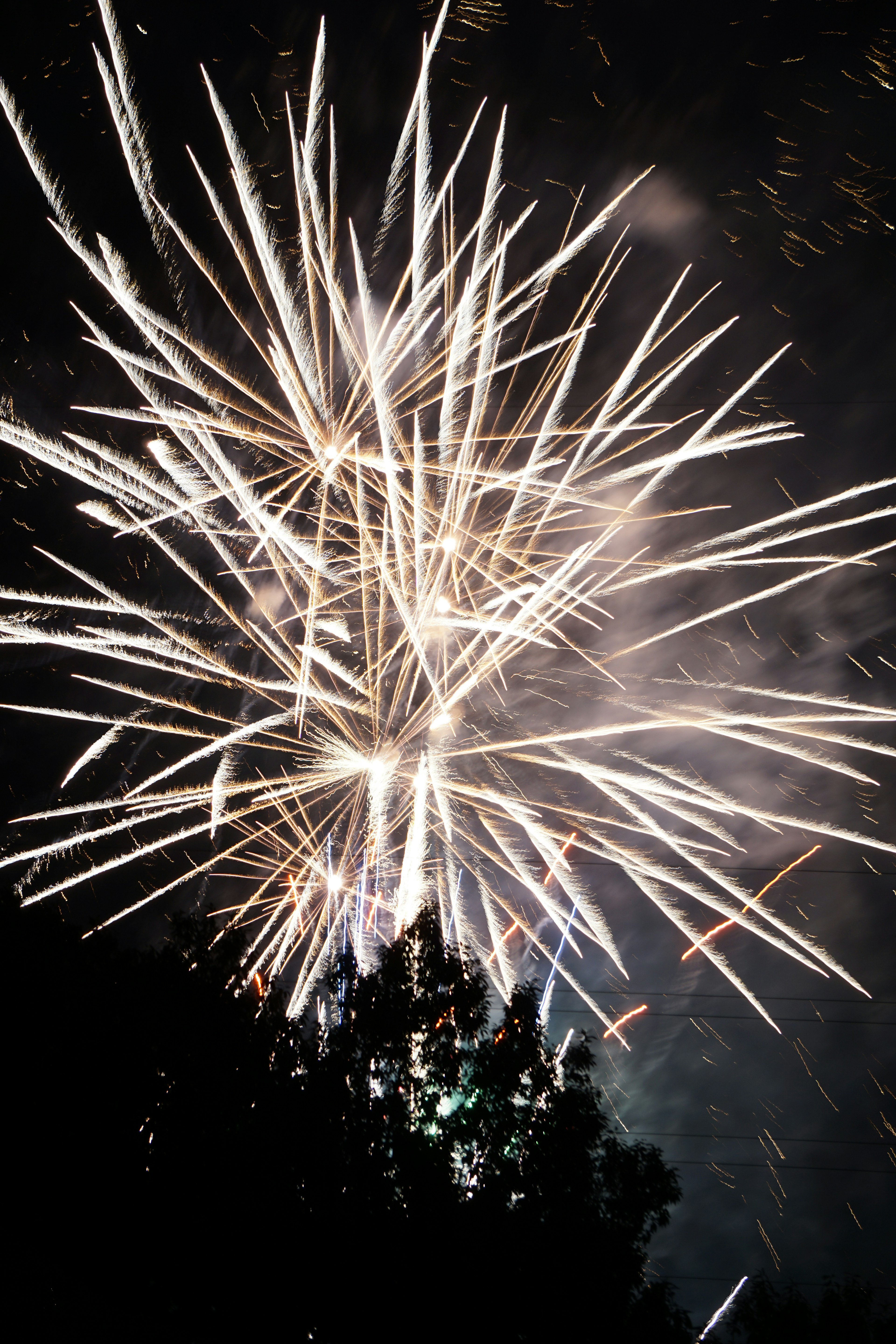 Fuegos artificiales blancos estallando en el cielo nocturno con siluetas oscuras de árboles