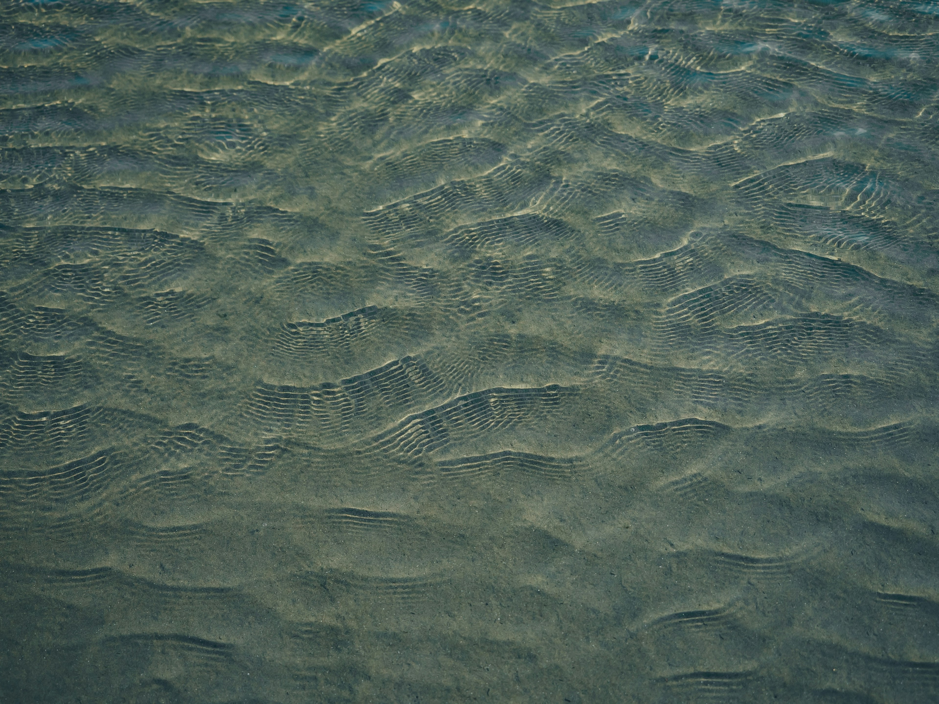 photo-JfBCkHKQMW1j9rBF1MP8-image