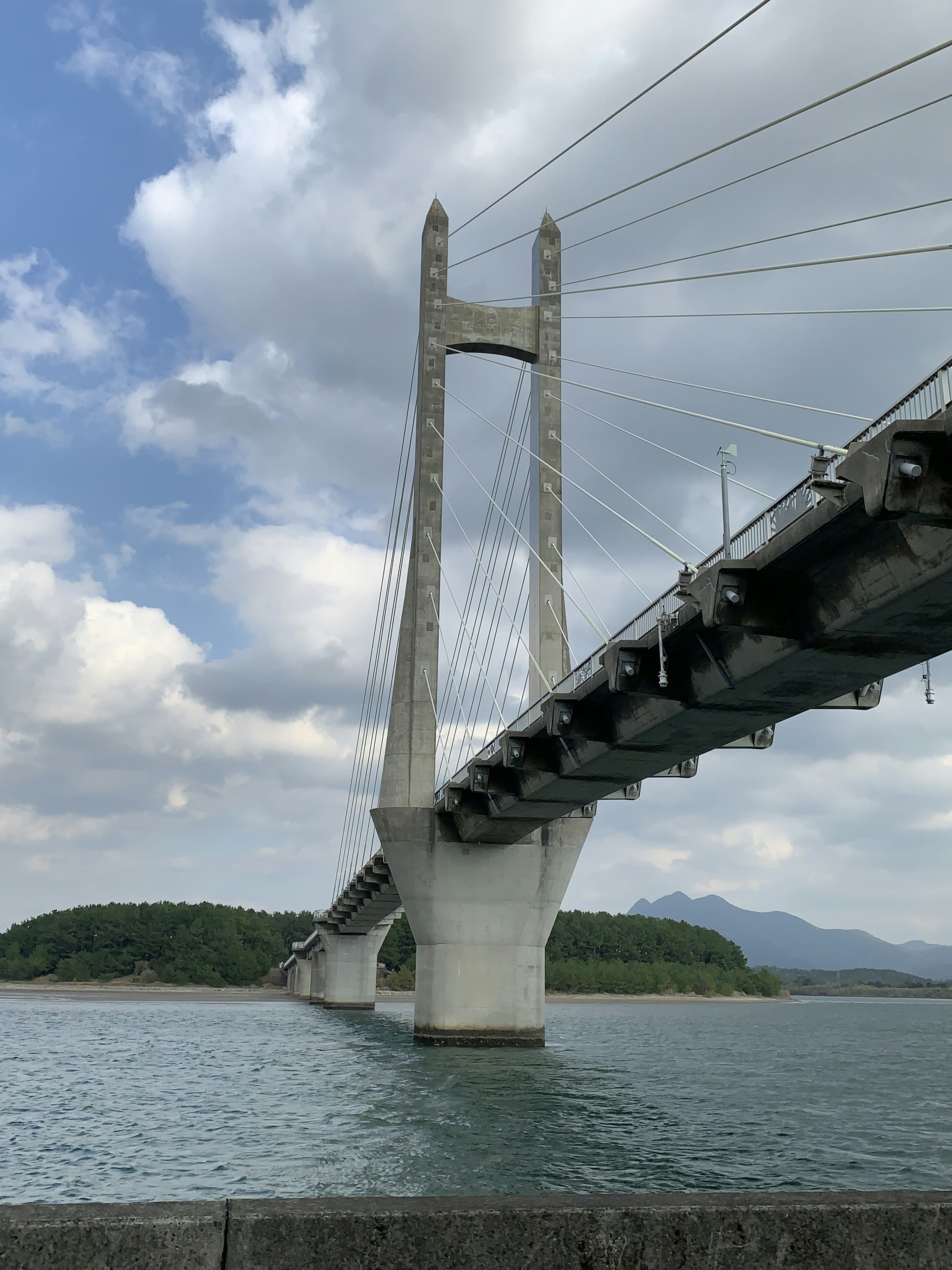 橋の構造と周囲の景色を示す写真