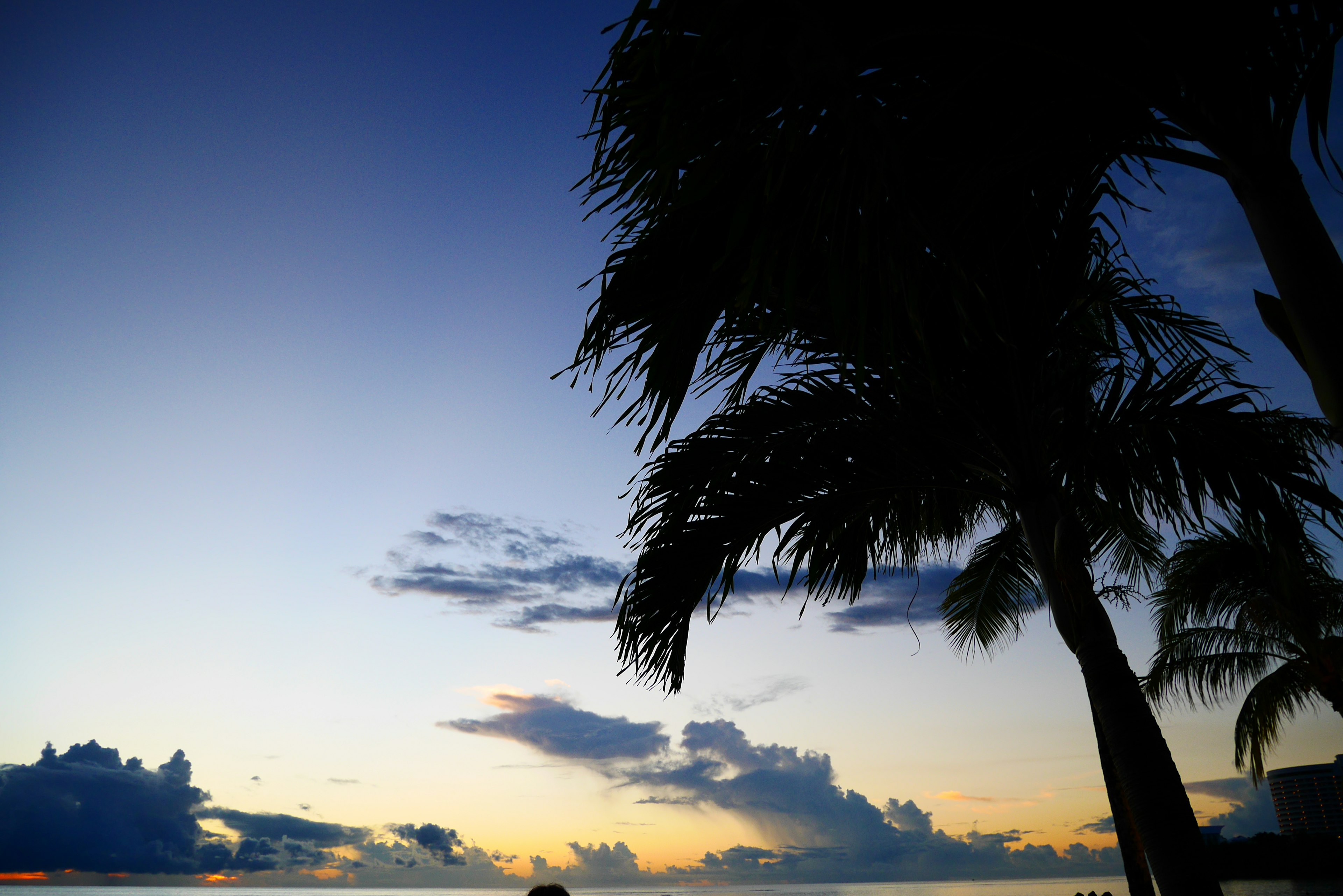 Silhouette di palme contro un cielo di tramonto vibrante con nuvole sopra l'oceano