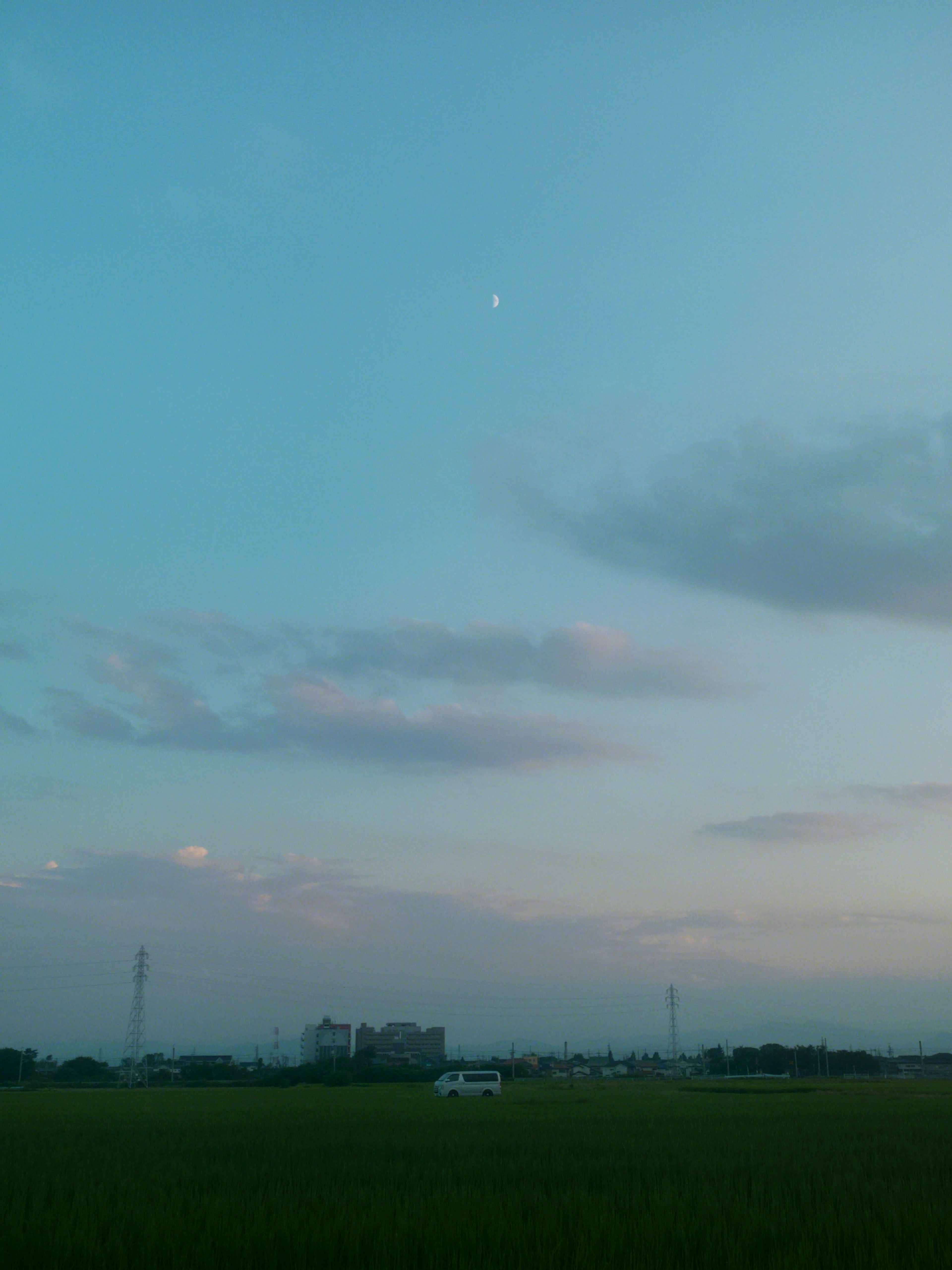 Un paysage serein avec un ciel bleu, des nuages et une petite lune au-dessus d'un champ de riz