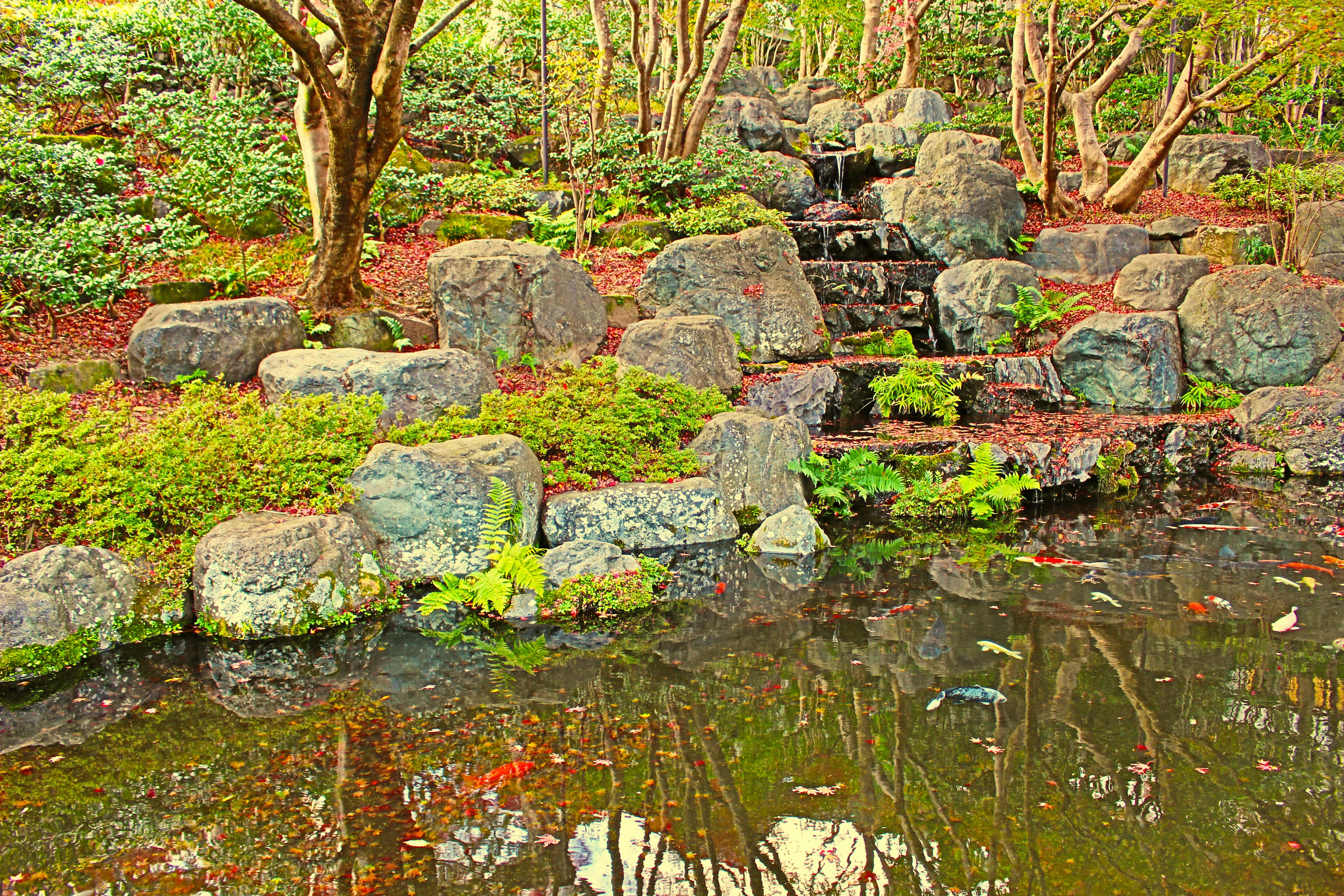 Un estanque sereno con rocas y vegetación exuberante reflejándose en el agua