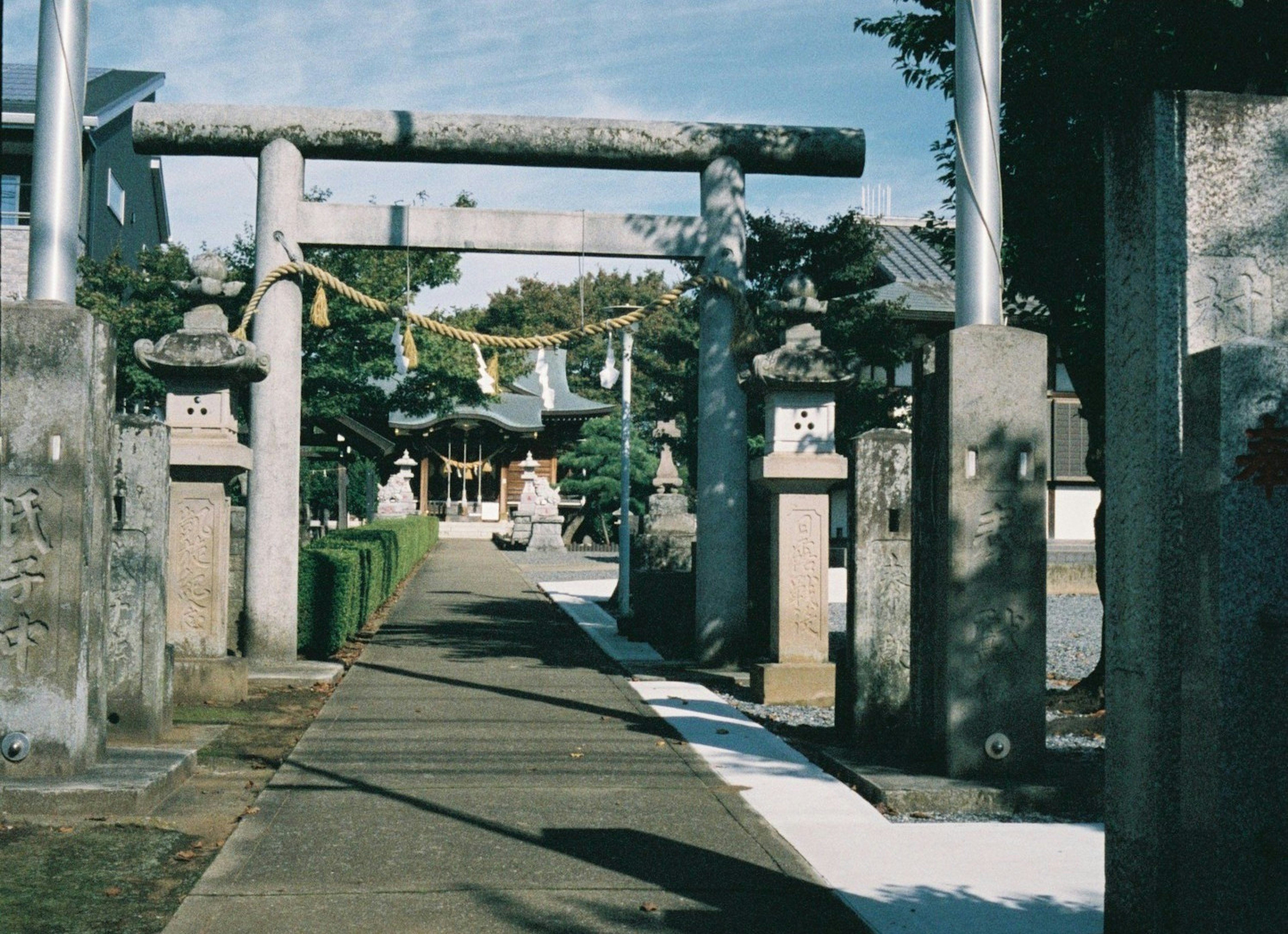 Sendero que lleva a un santuario con un torii y faroles de piedra