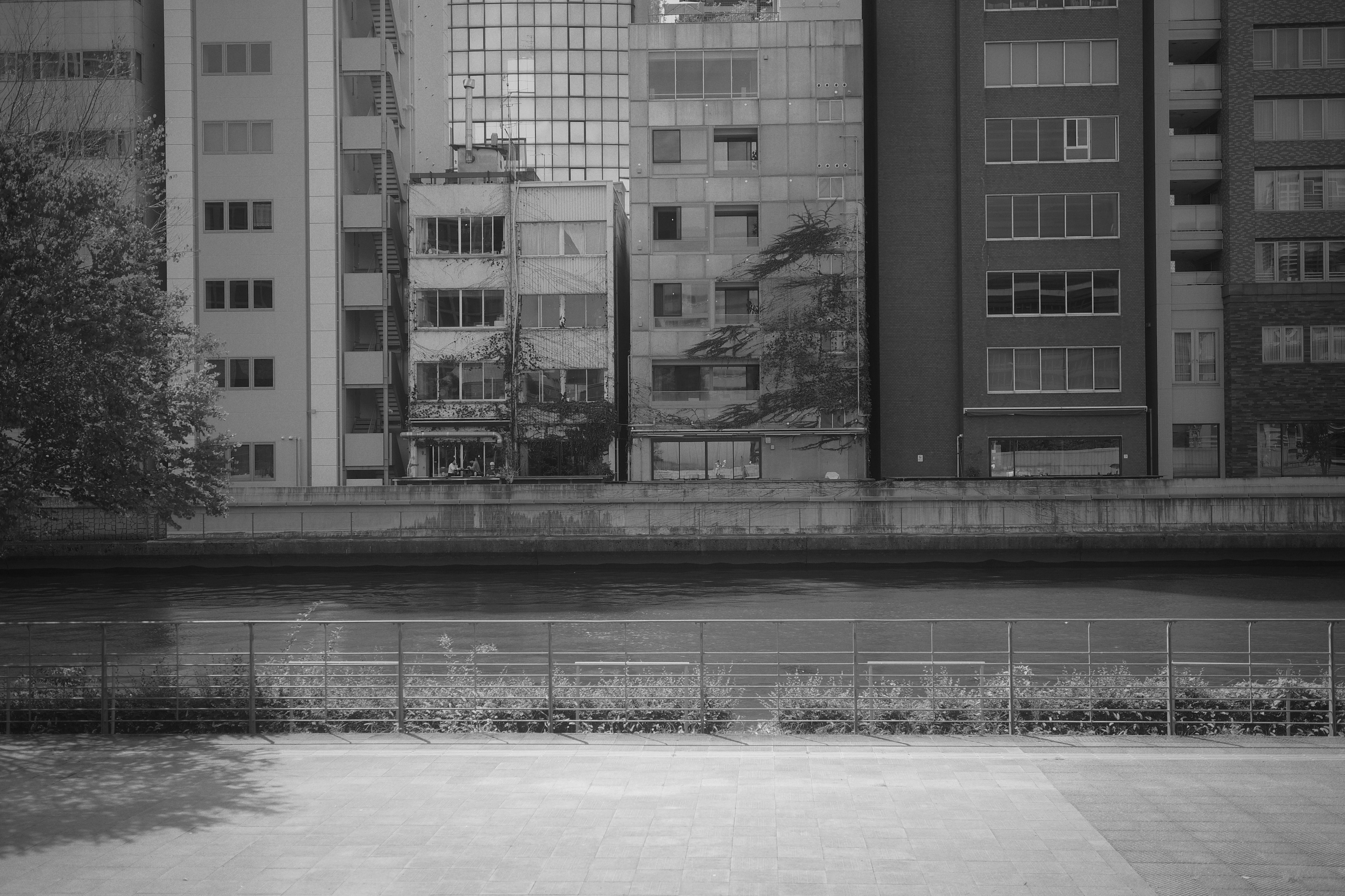 Monochrome view of buildings along a river with greenery