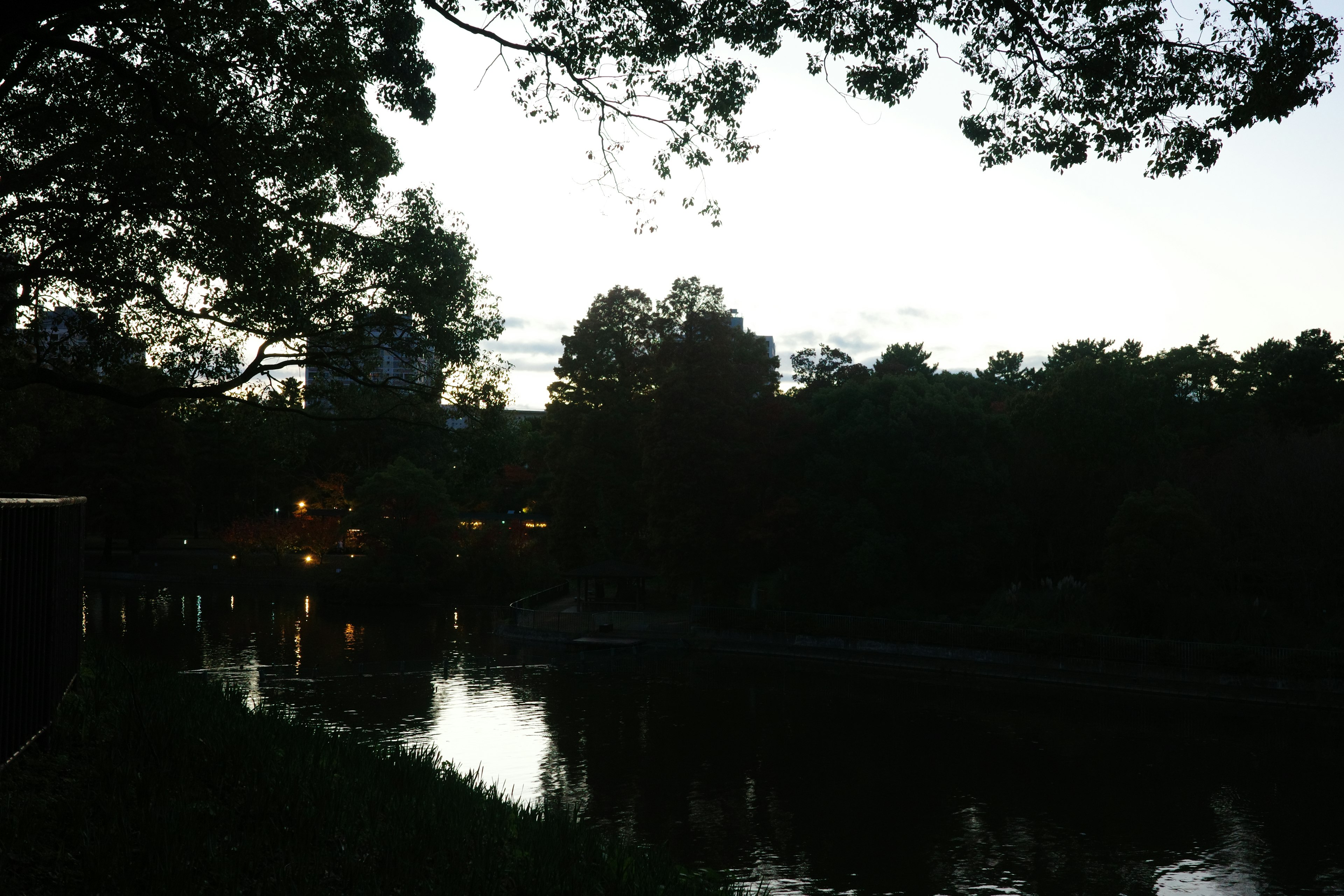 Serene river landscape reflecting dawn sky