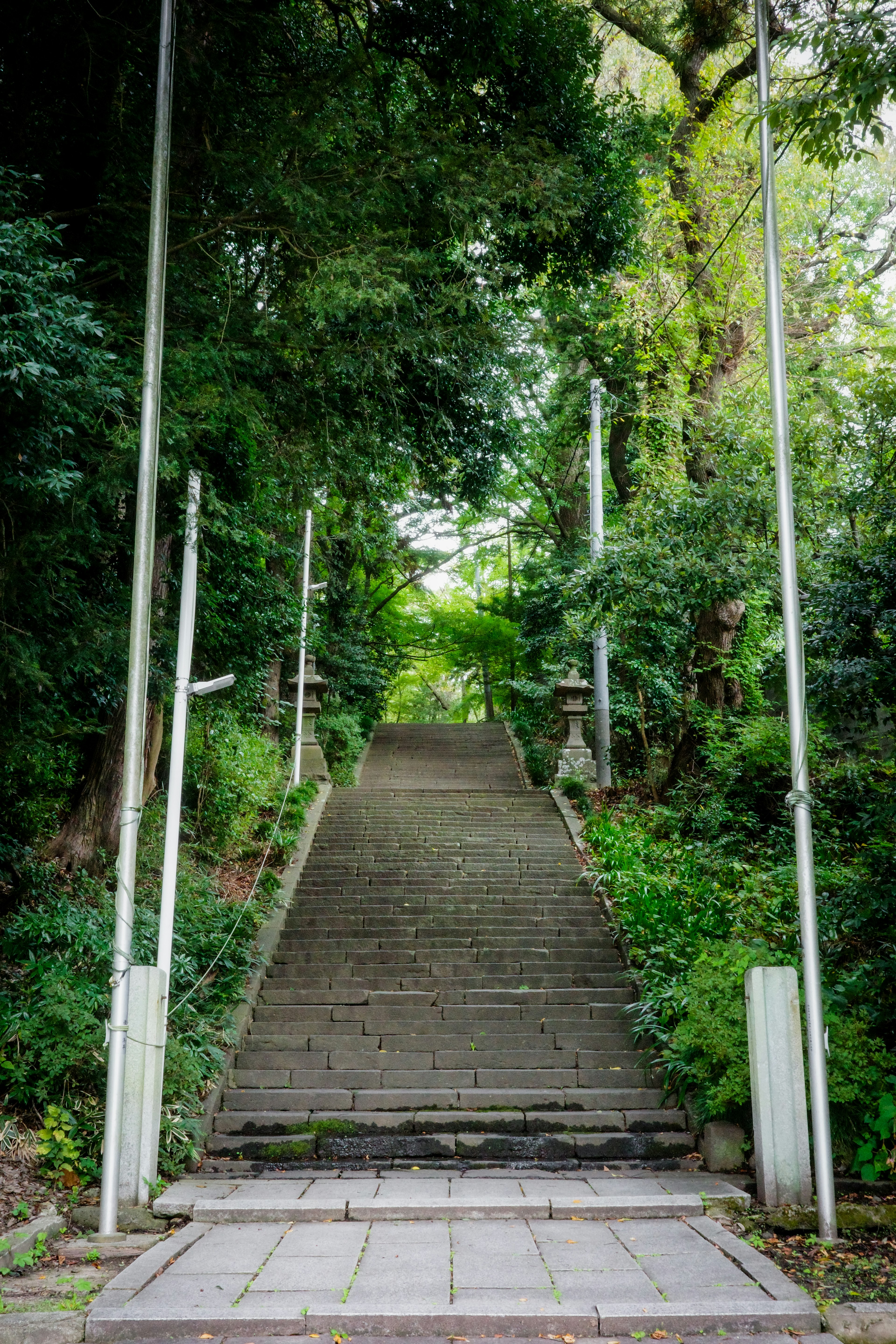 緑に囲まれた階段の風景 鉄のポールが並ぶ