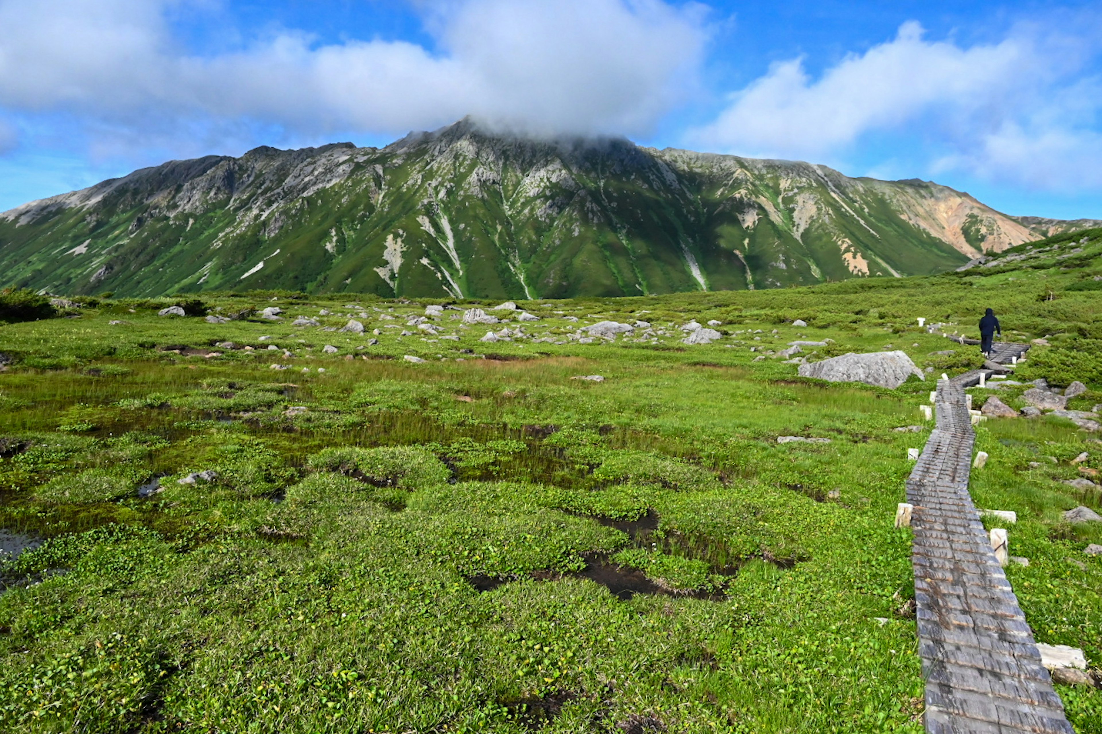 緑豊かな草原に沿って木製の道を歩く人と山の風景