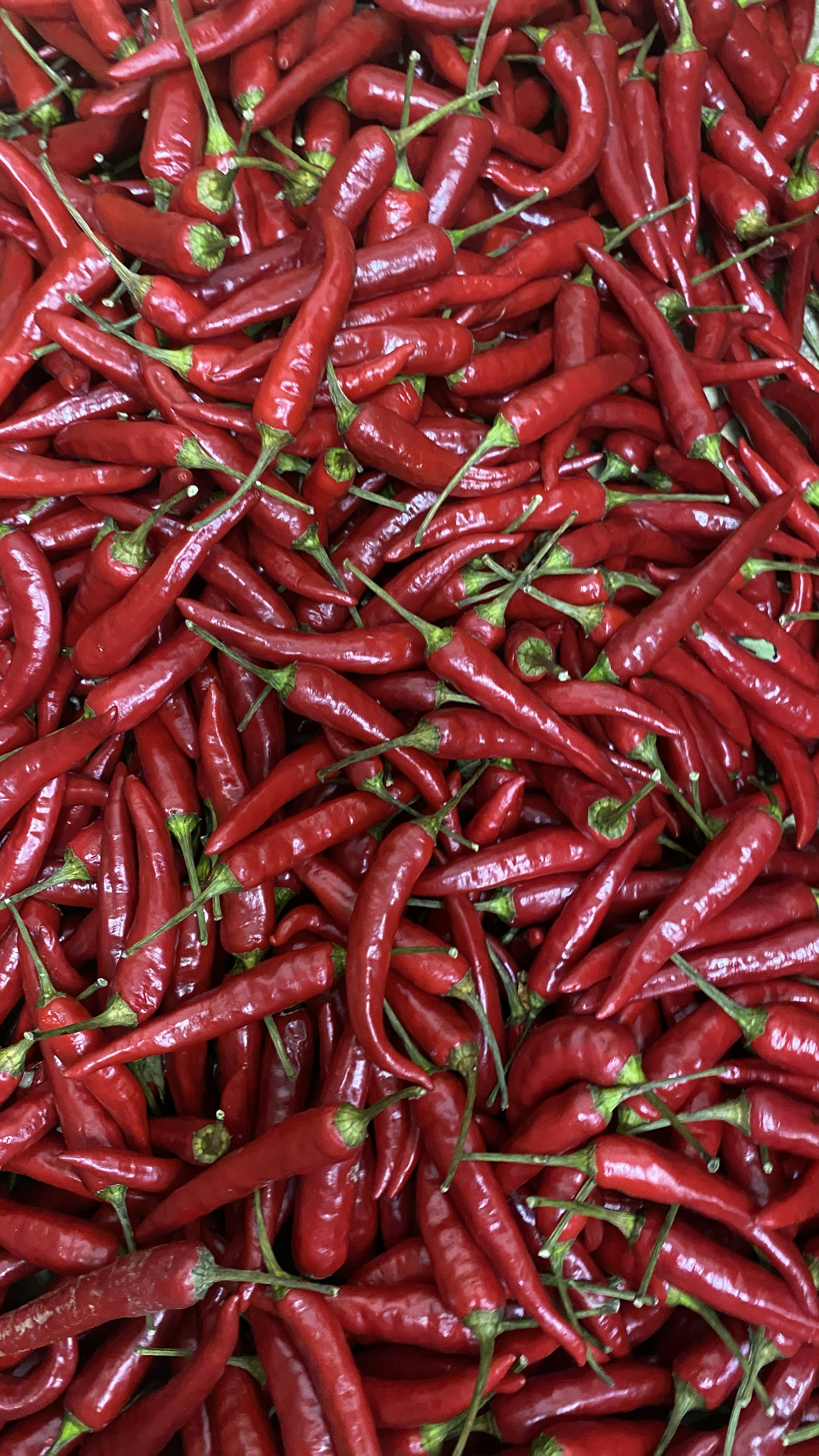 Vibrant red chili peppers densely packed together