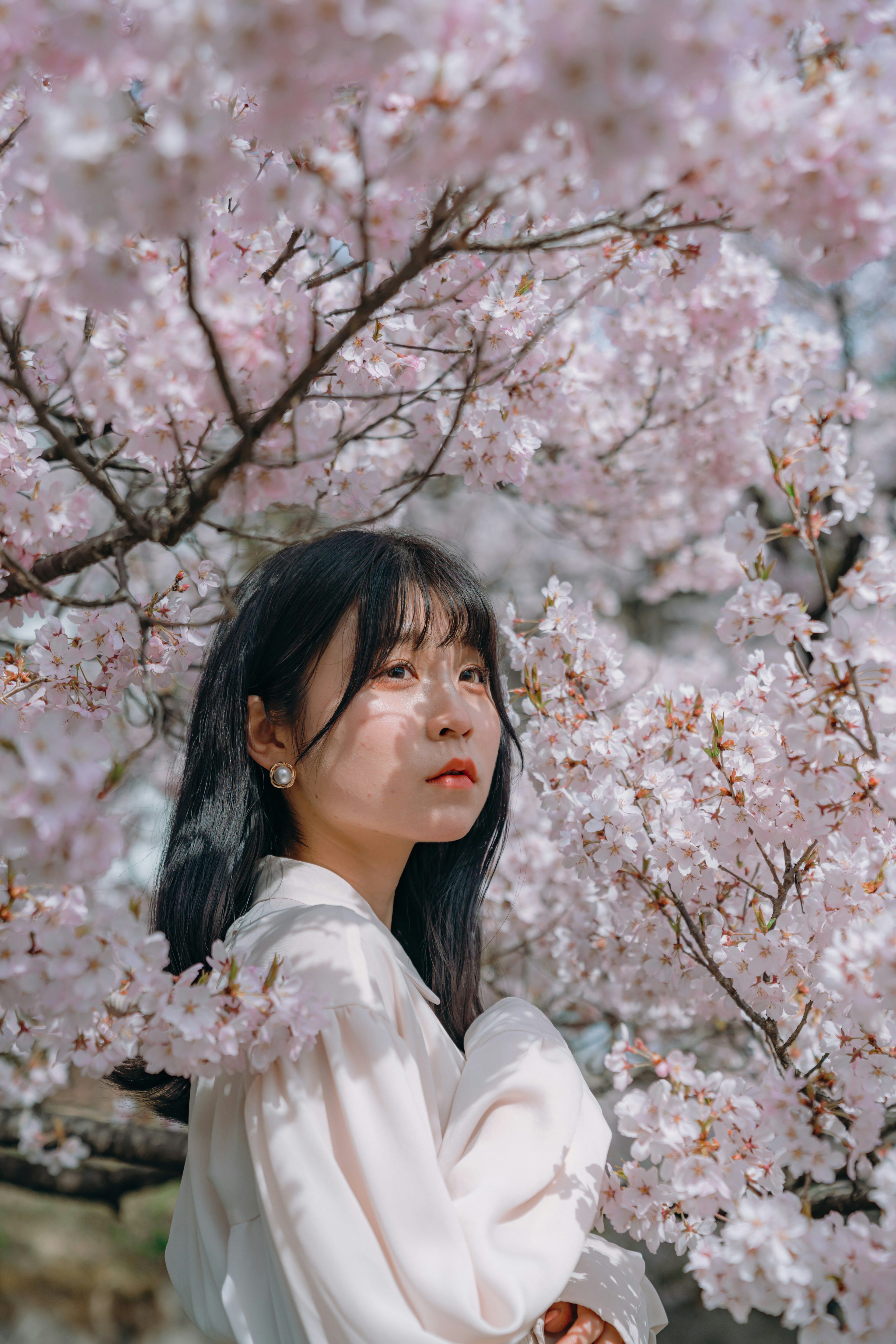 桜の花の間に立つ女性のポートレート