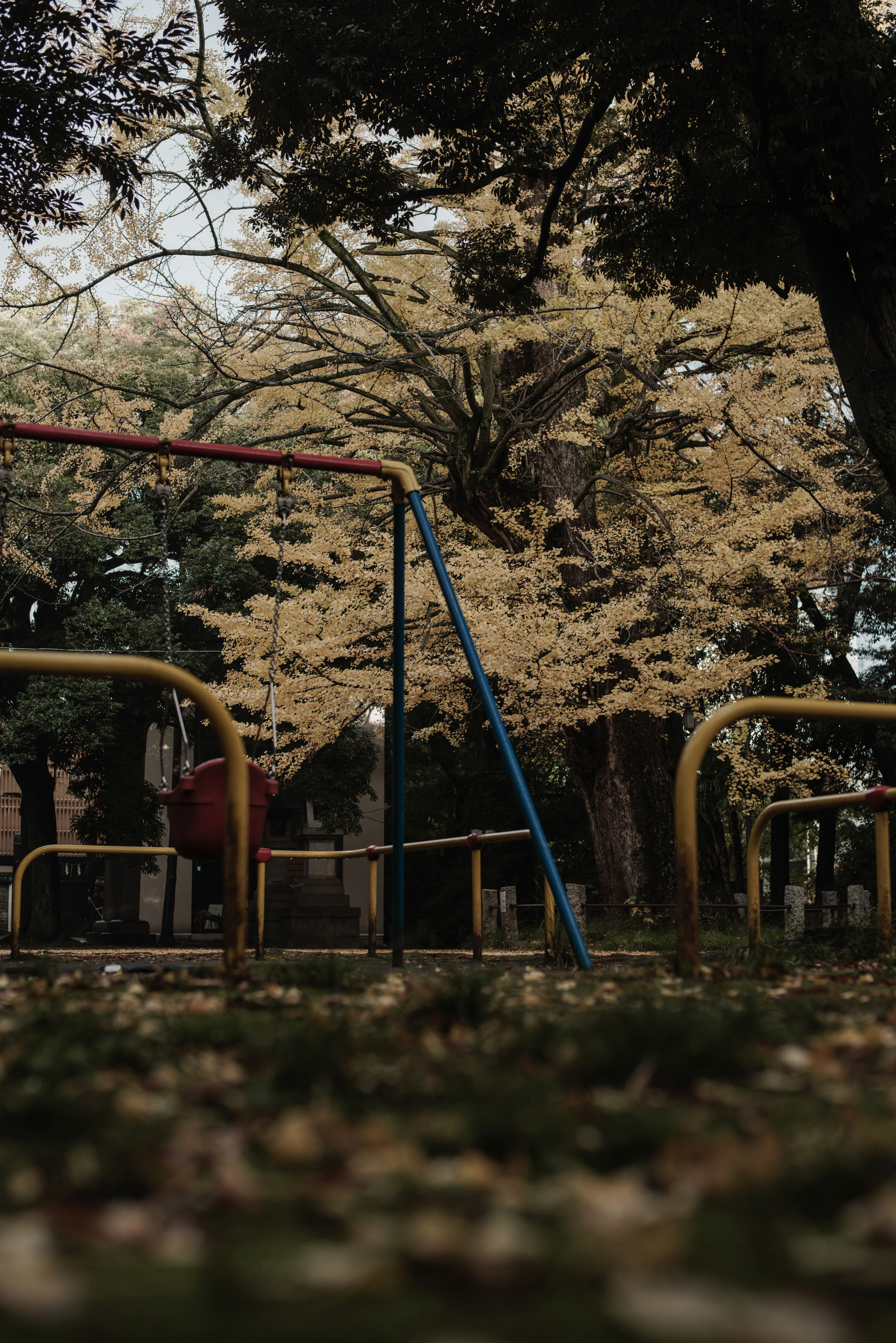 公園のブランコと秋の木々の風景