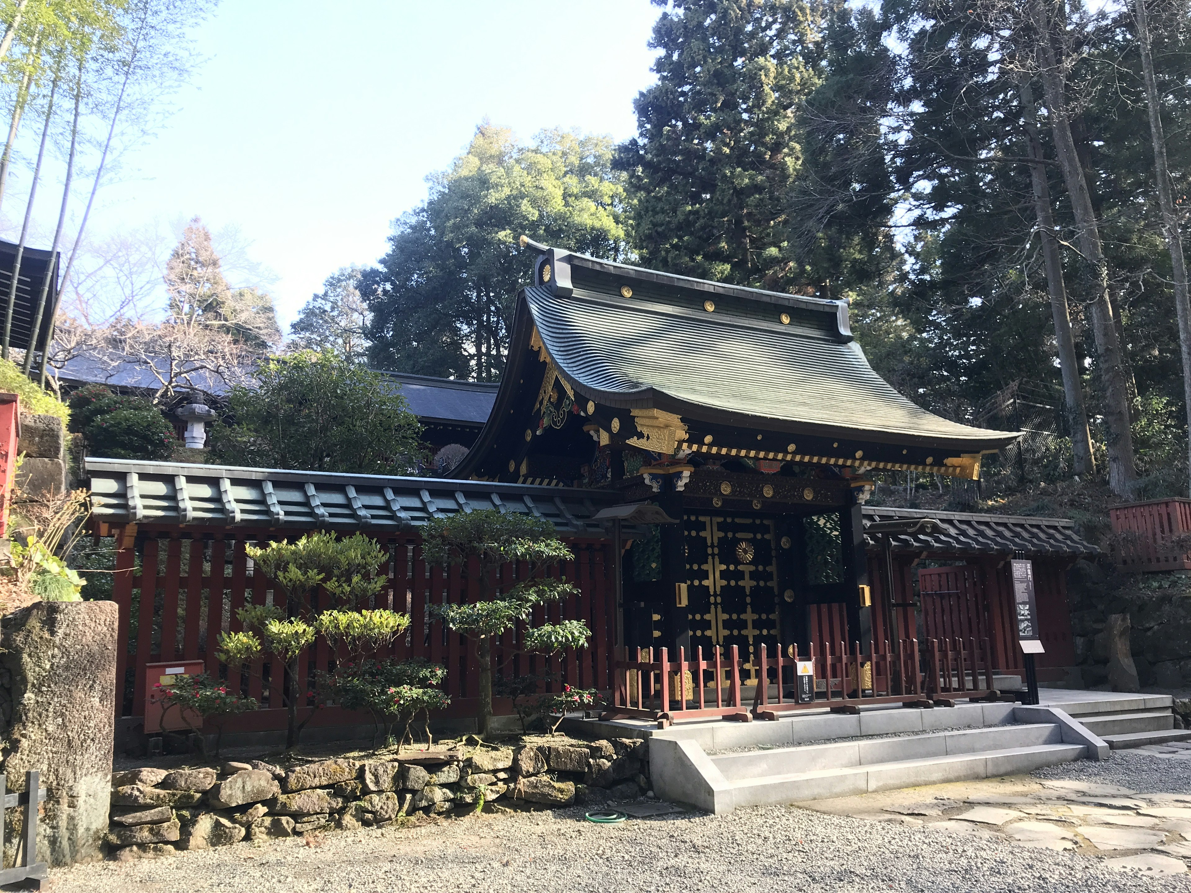 Traditional Japanese shrine building surrounded by greenery