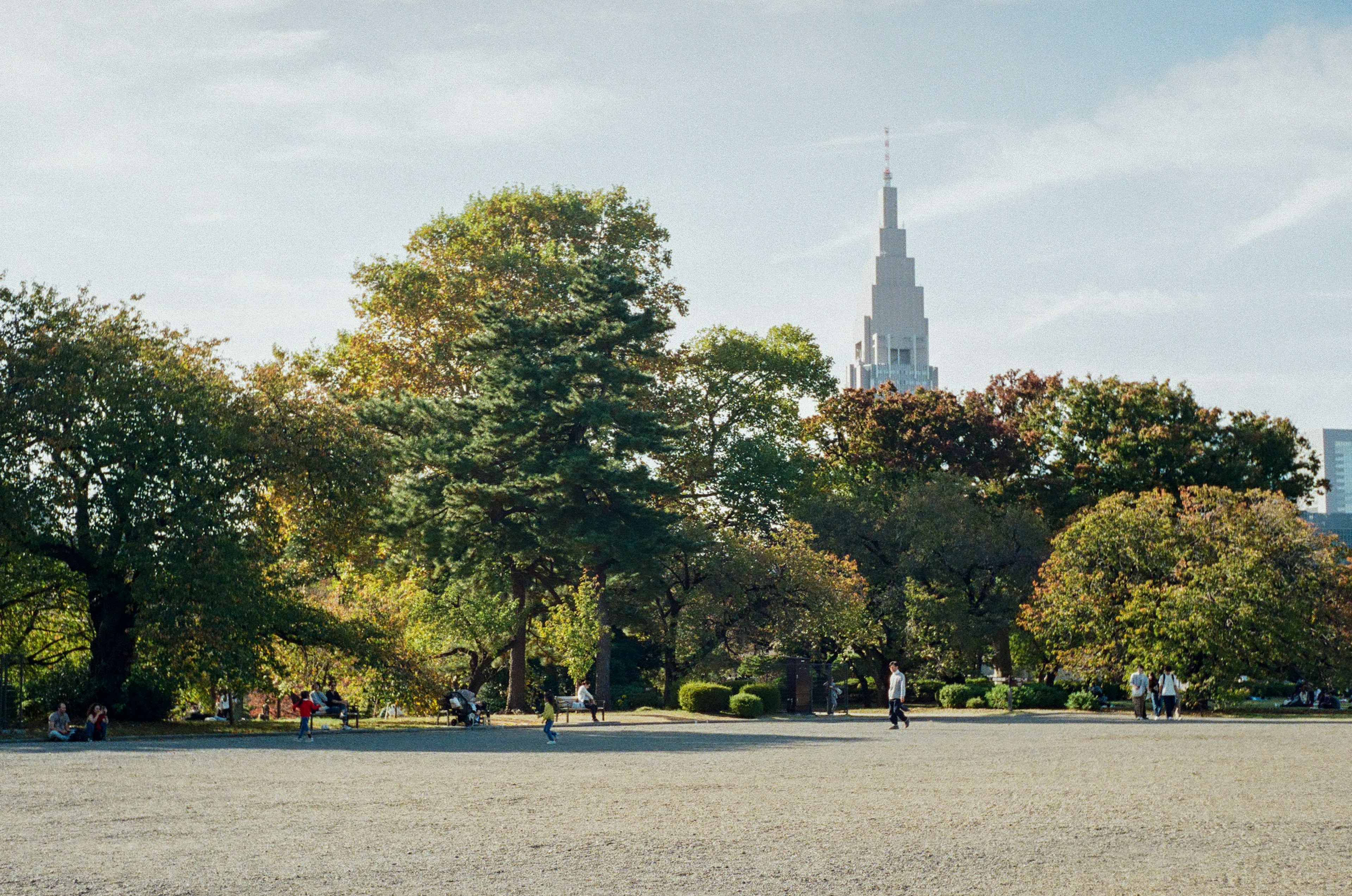 秋の公園の風景、緑の木々と色づいた葉、遠くにエンパイアステートビル