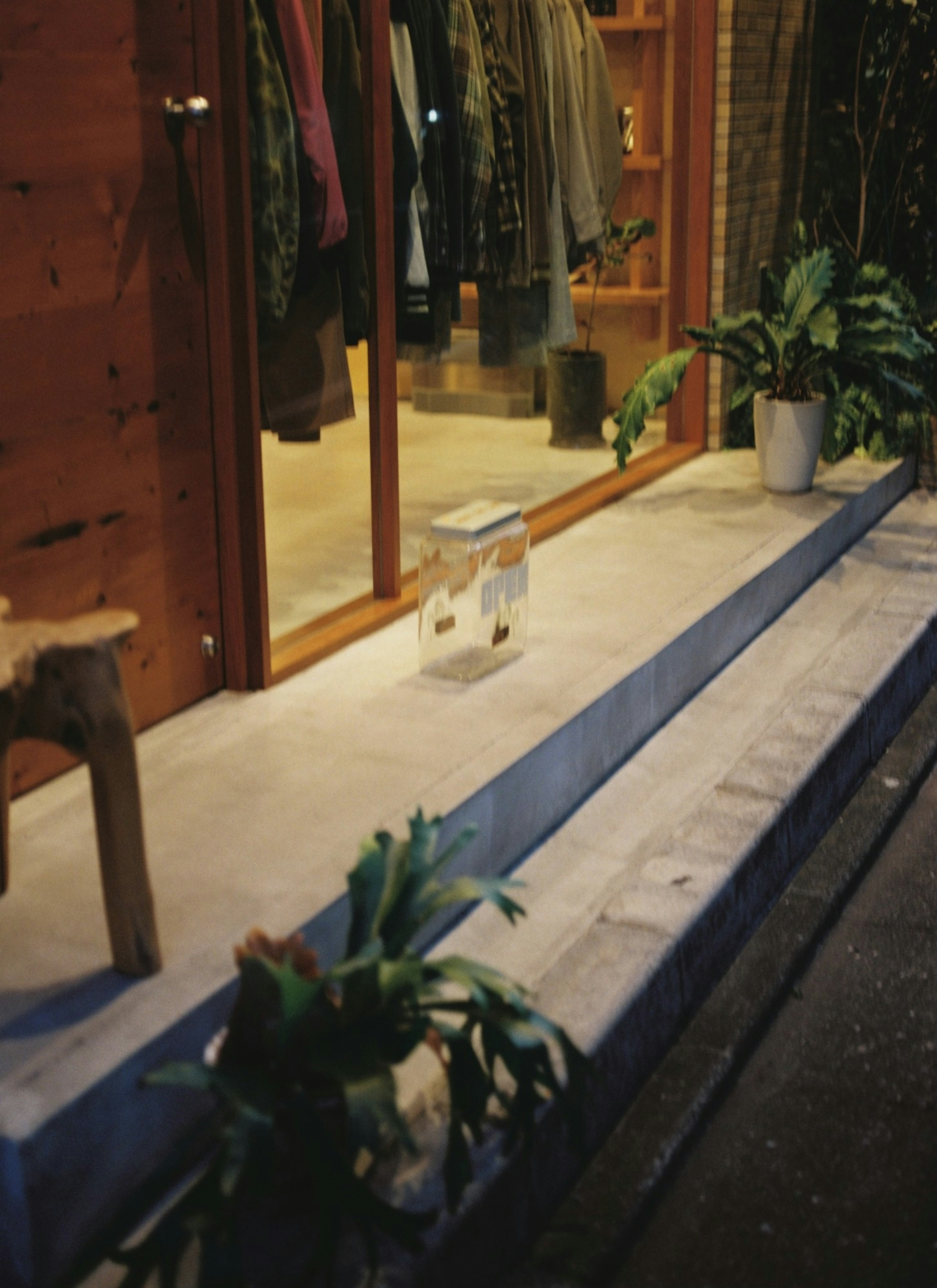 店舗の入り口にある植物と服が見える風景