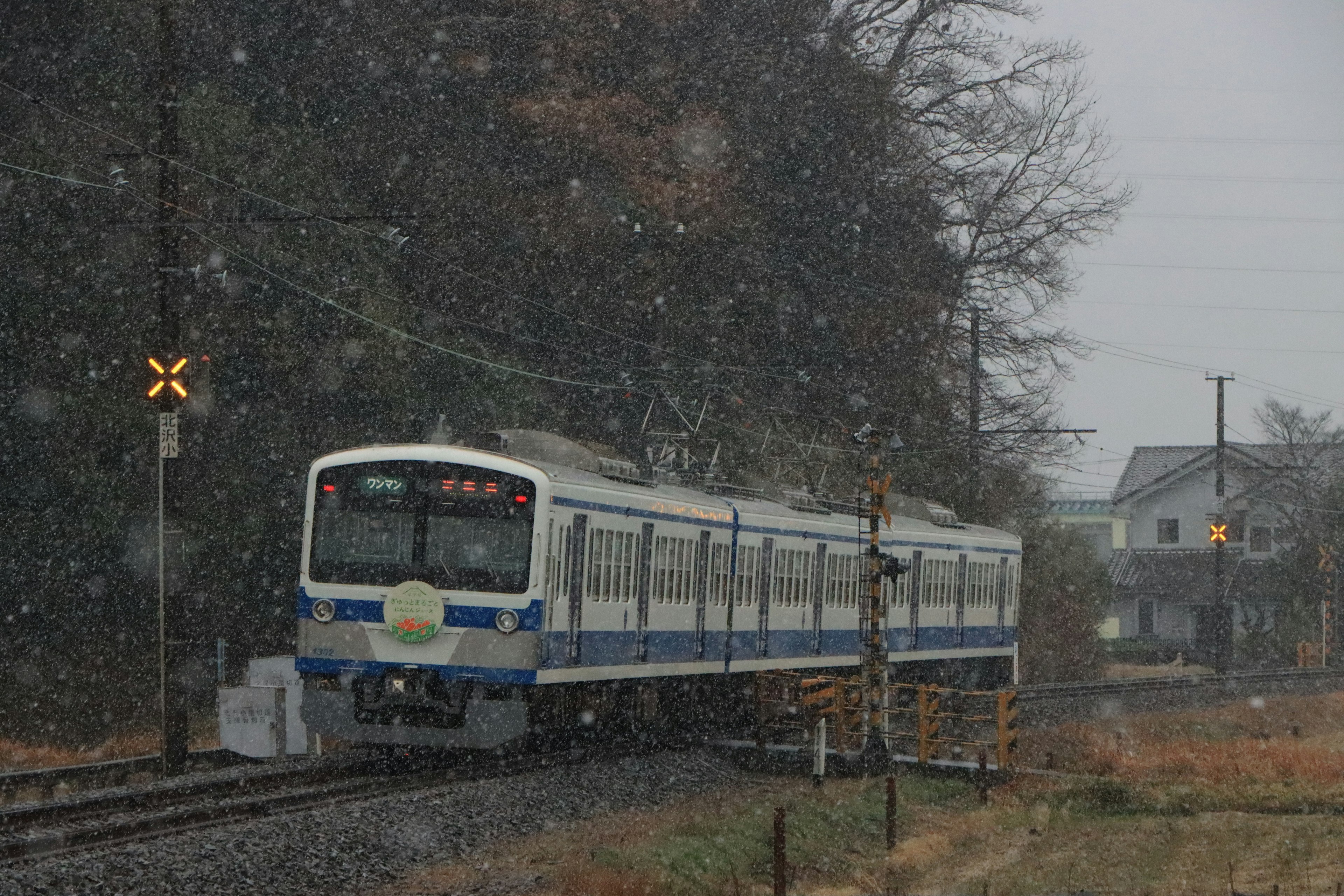 Blauer und weißer Zug fährt im Schnee mit Bäumen im Hintergrund