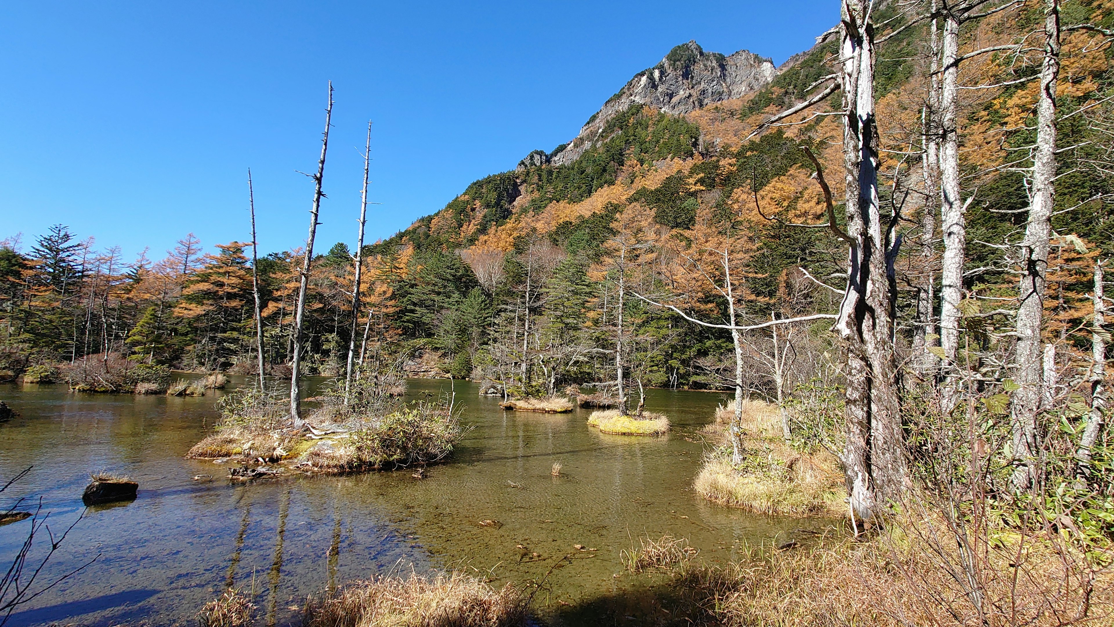 Ein ruhiger Teich, umgeben von Herbstbäumen unter einem klaren blauen Himmel