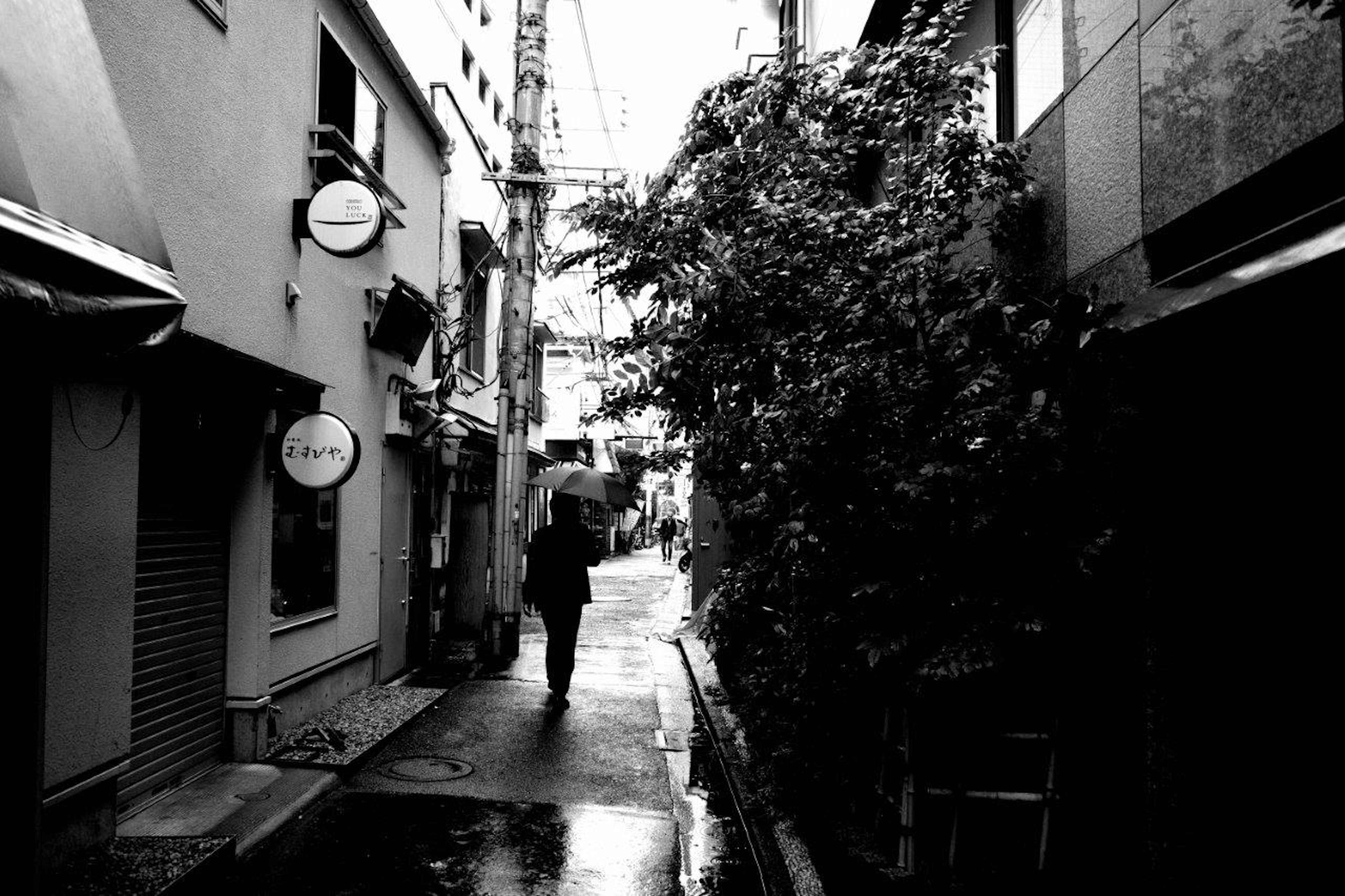 Une image en noir et blanc d'une ruelle tranquille avec la silhouette d'une personne et de la verdure