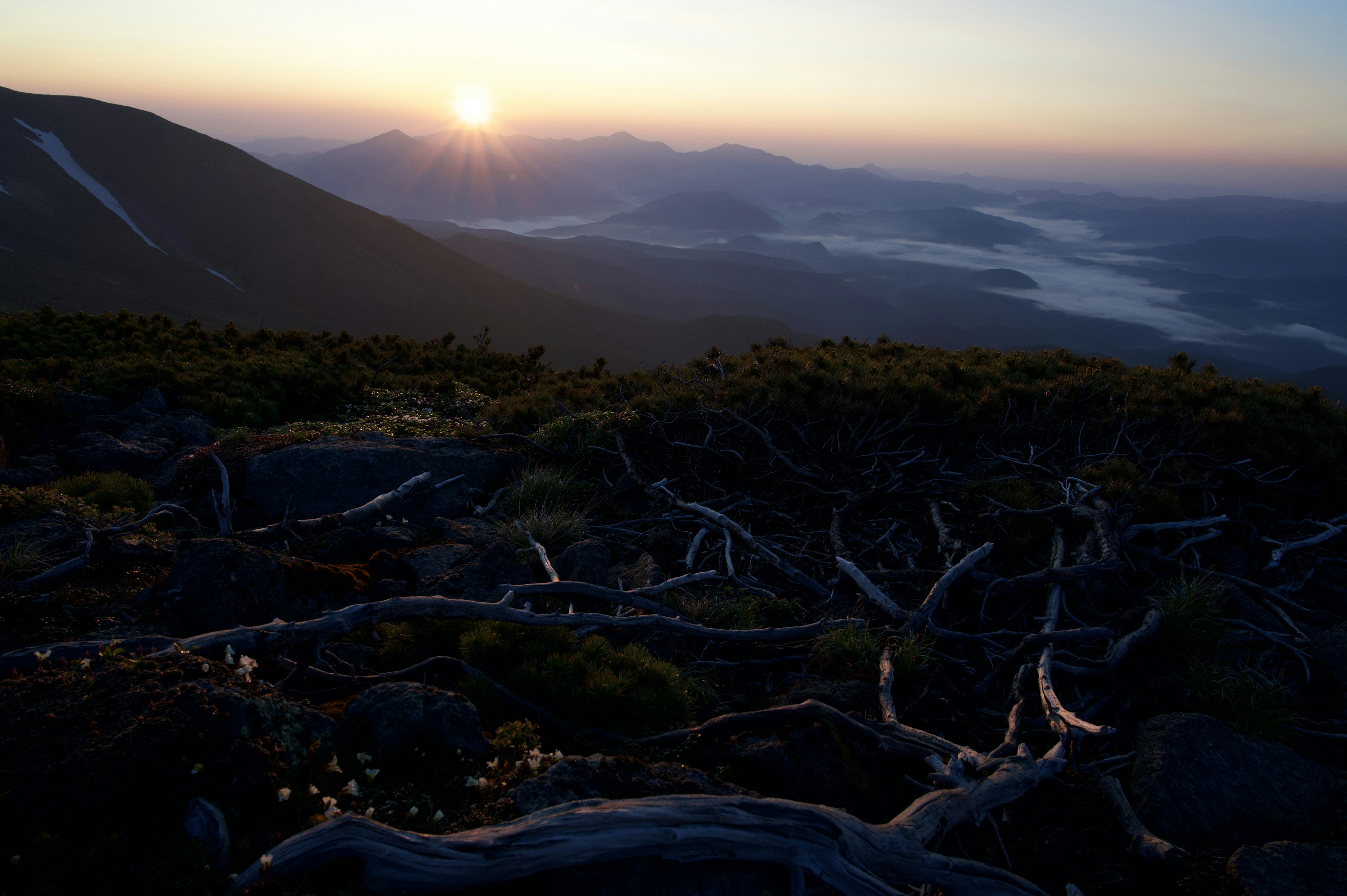 Vista del tramonto sulle montagne con radici di alberi che si estendono su rocce