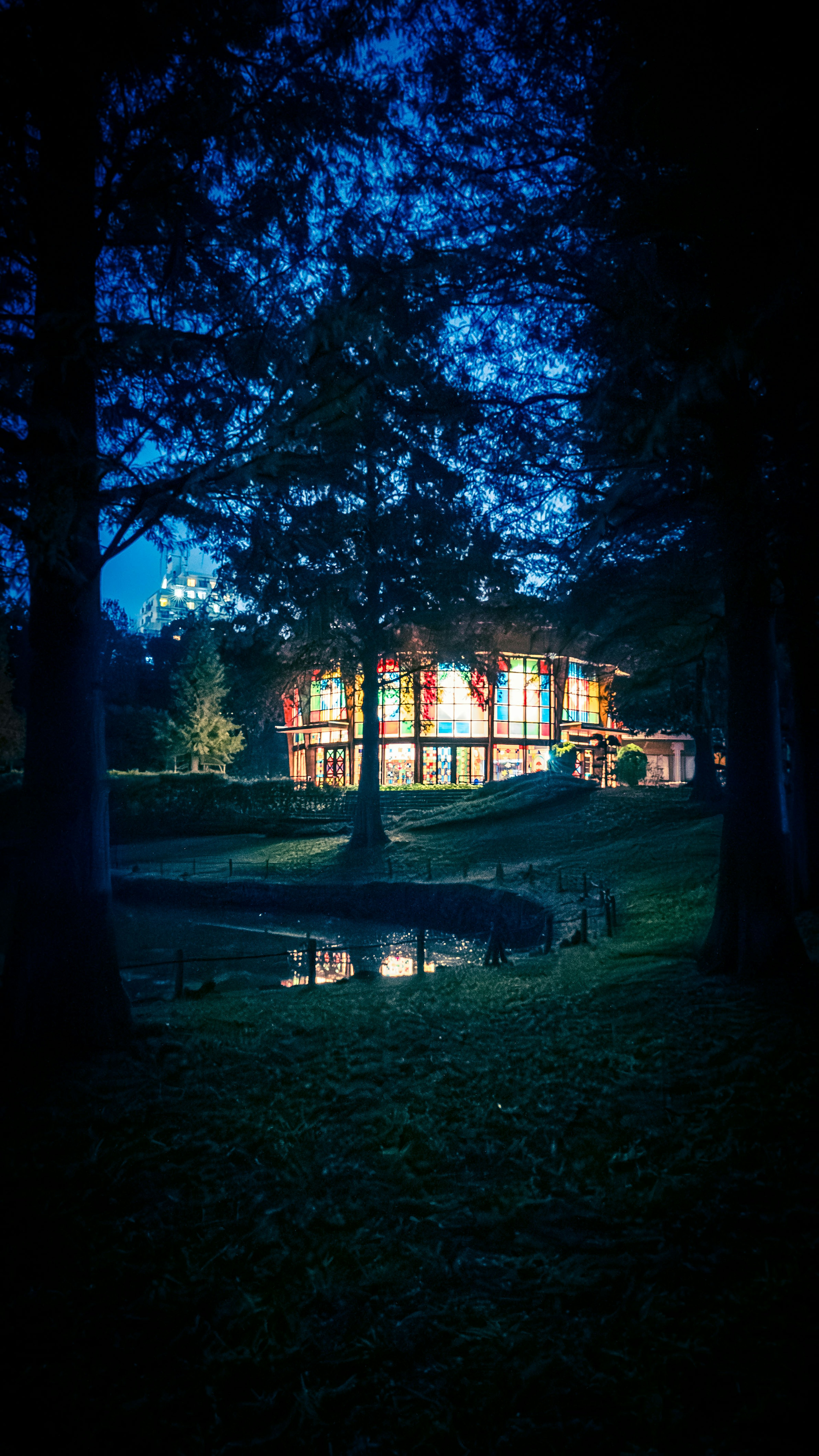 Una casa illuminata in una foresta di notte con uno stagno