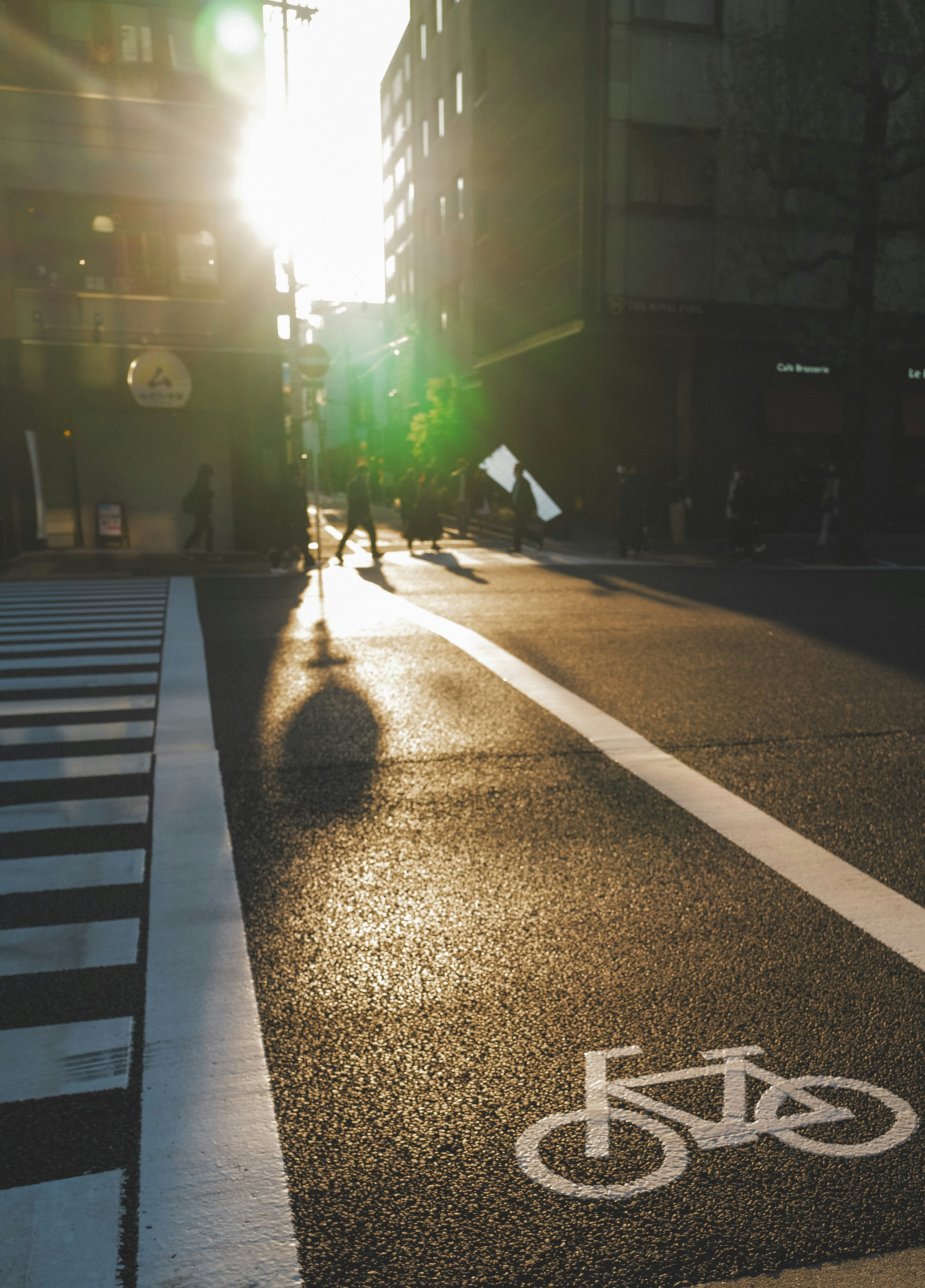 日落时的城市街道，人行道上有自行车标志