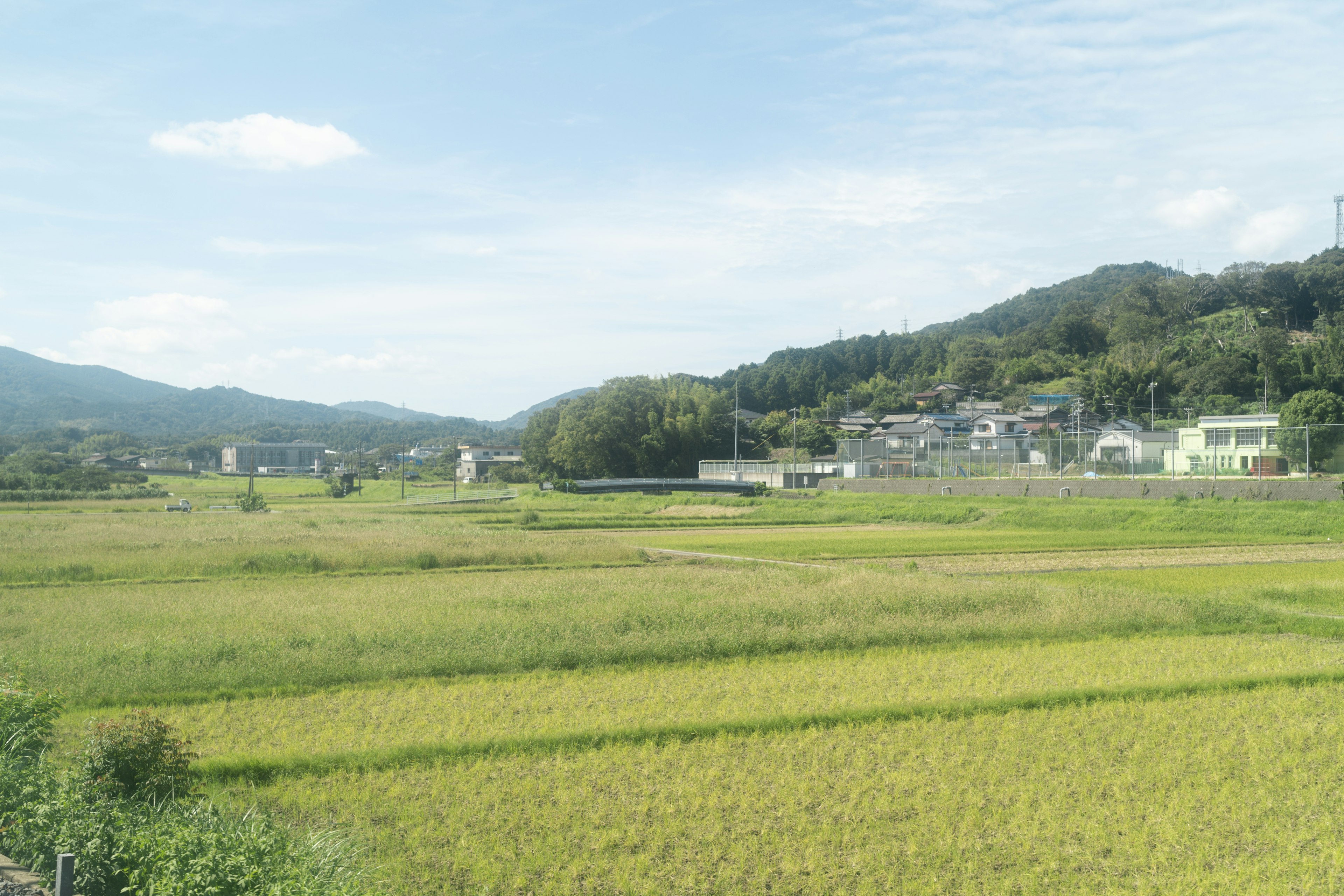 Champs de riz expansifs sous un ciel bleu avec des montagnes vertes et un petit village en vue