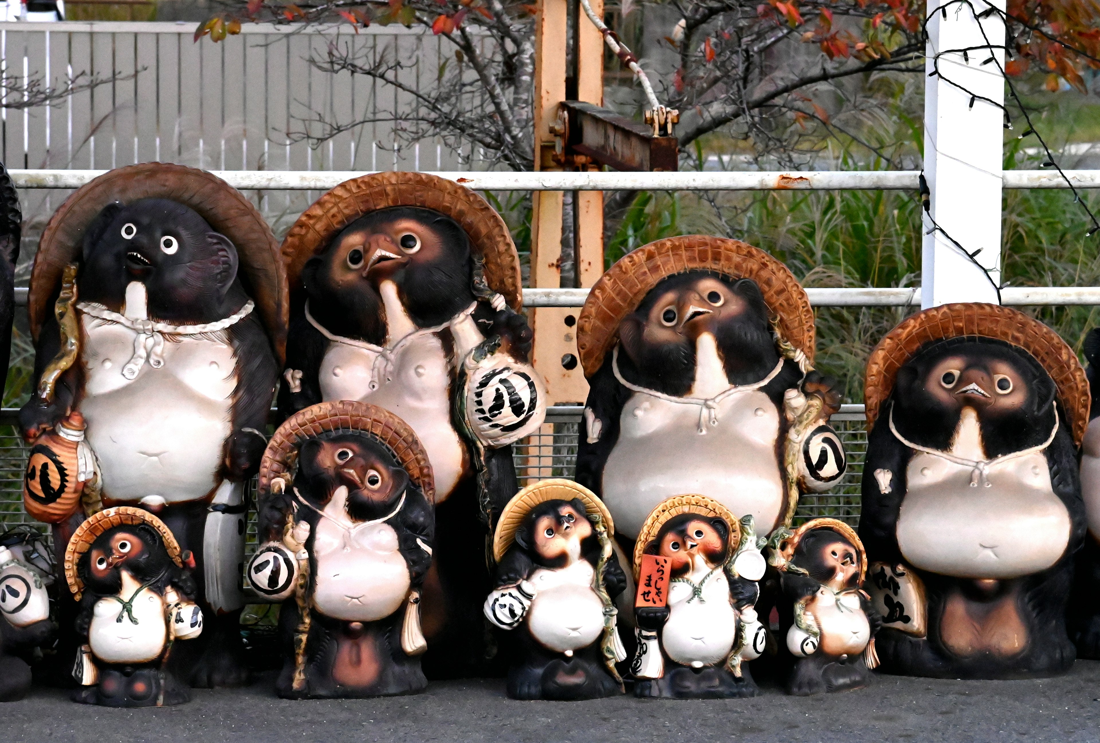 A collection of tanuki figurines arranged in various sizes Each tanuki features unique designs with brown and white colors wearing hats