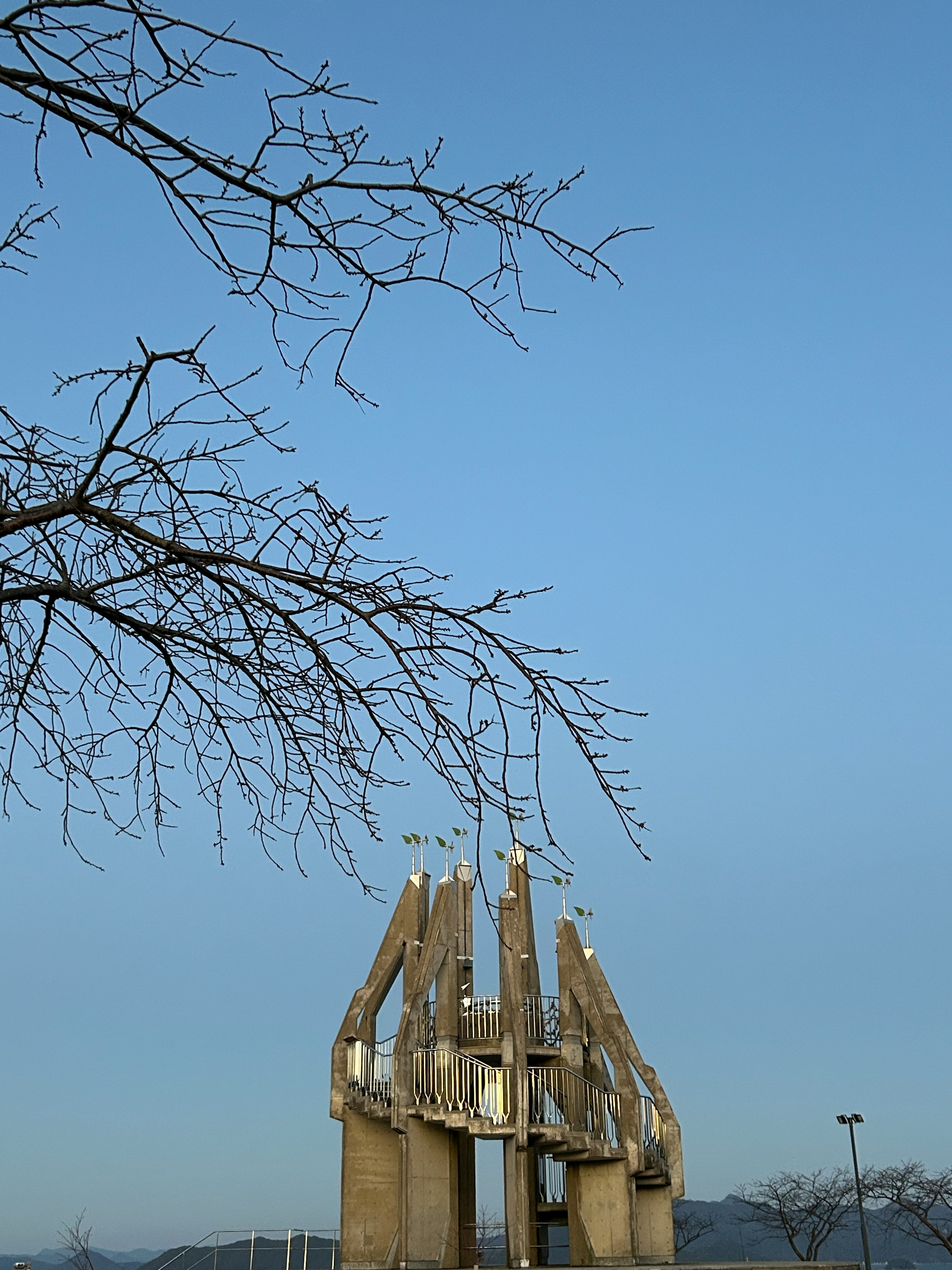 Estructura arquitectónica única bajo un cielo azul con ramas de árbol