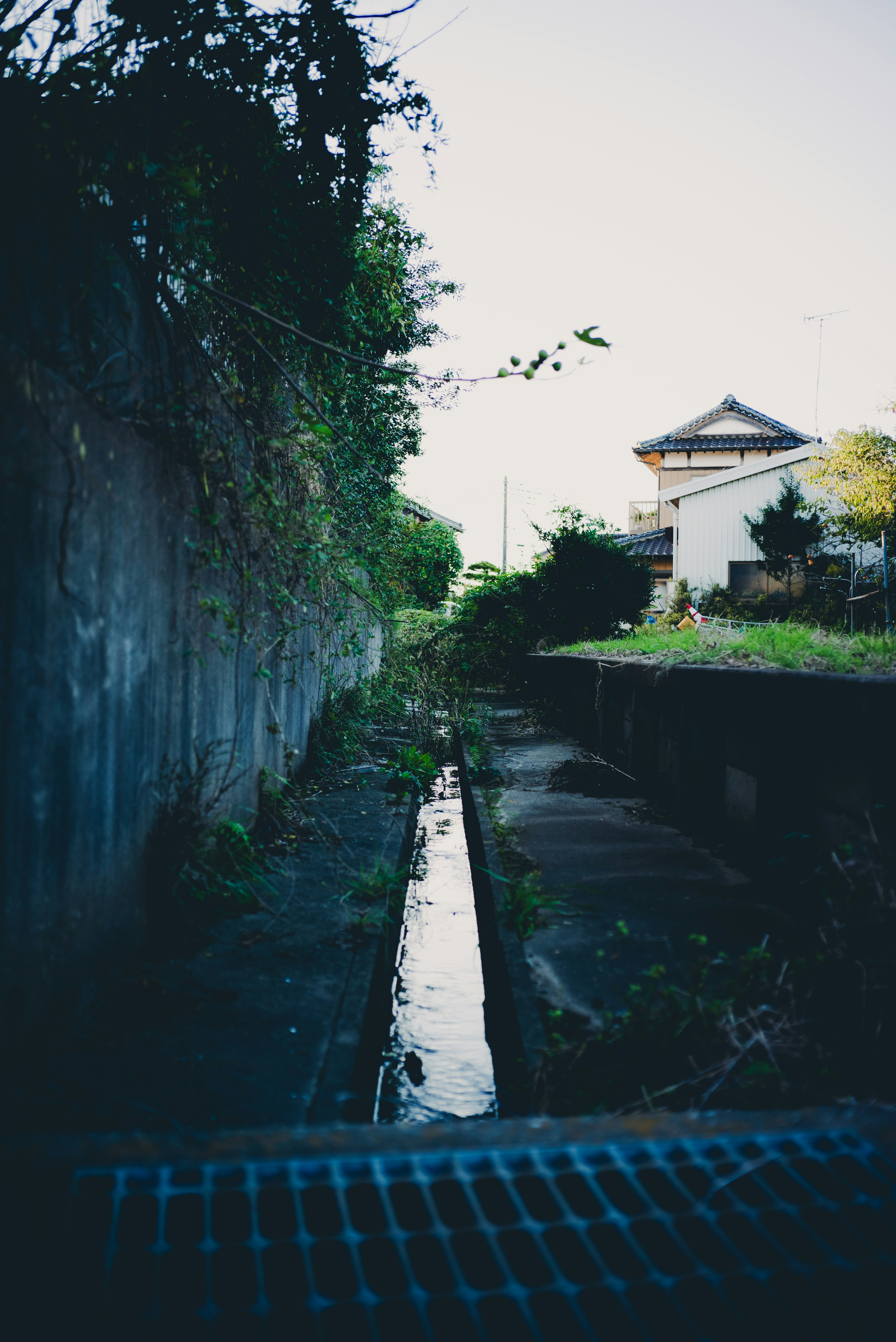 Corsia d'acqua stretta circondata da vegetazione in un contesto urbano