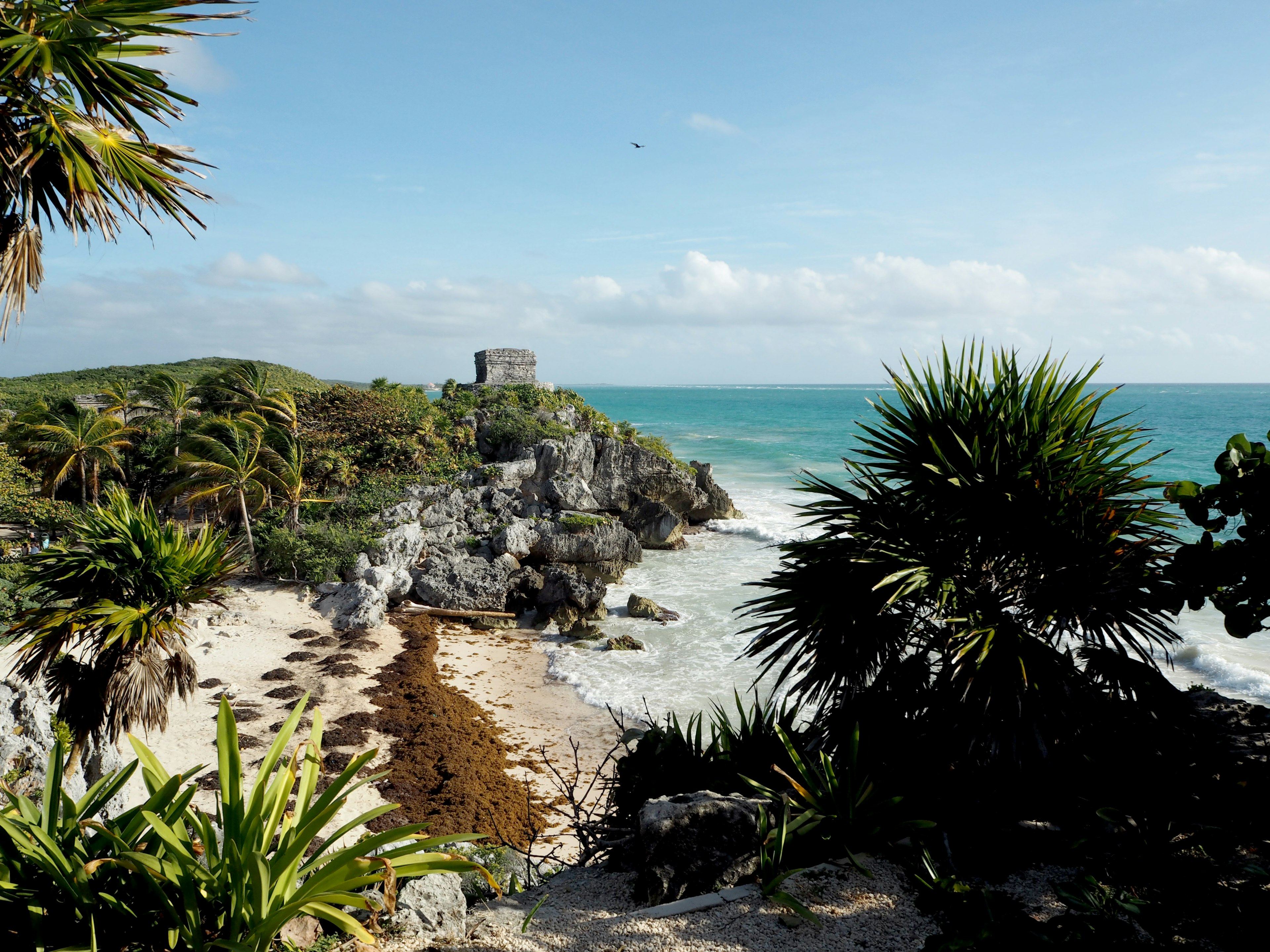 Pemandangan indah Tulum dengan reruntuhan kuno dan vegetasi subur