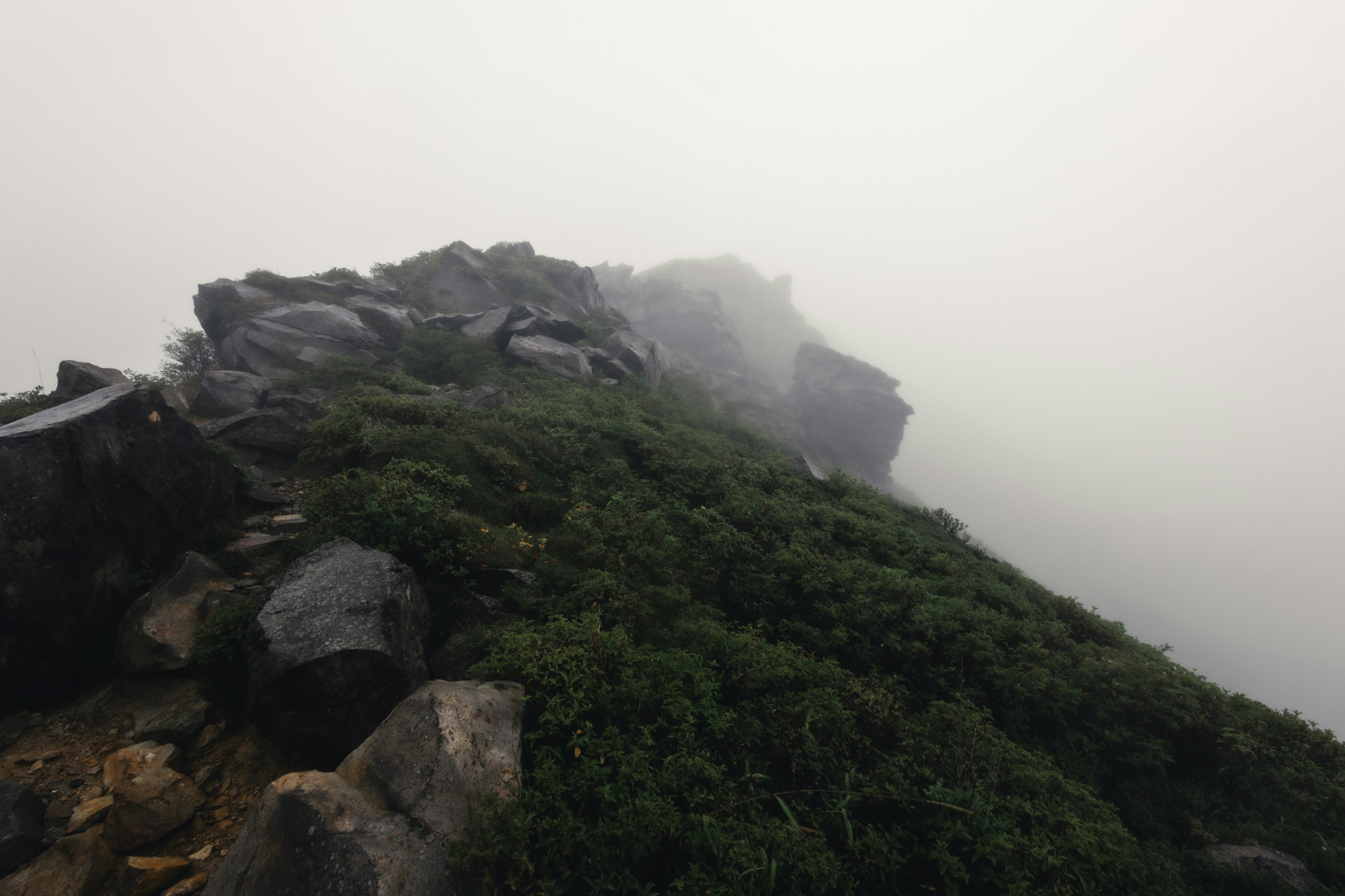 Pemandangan puncak gunung berkabut dengan rumput hijau dan batu yang terlihat