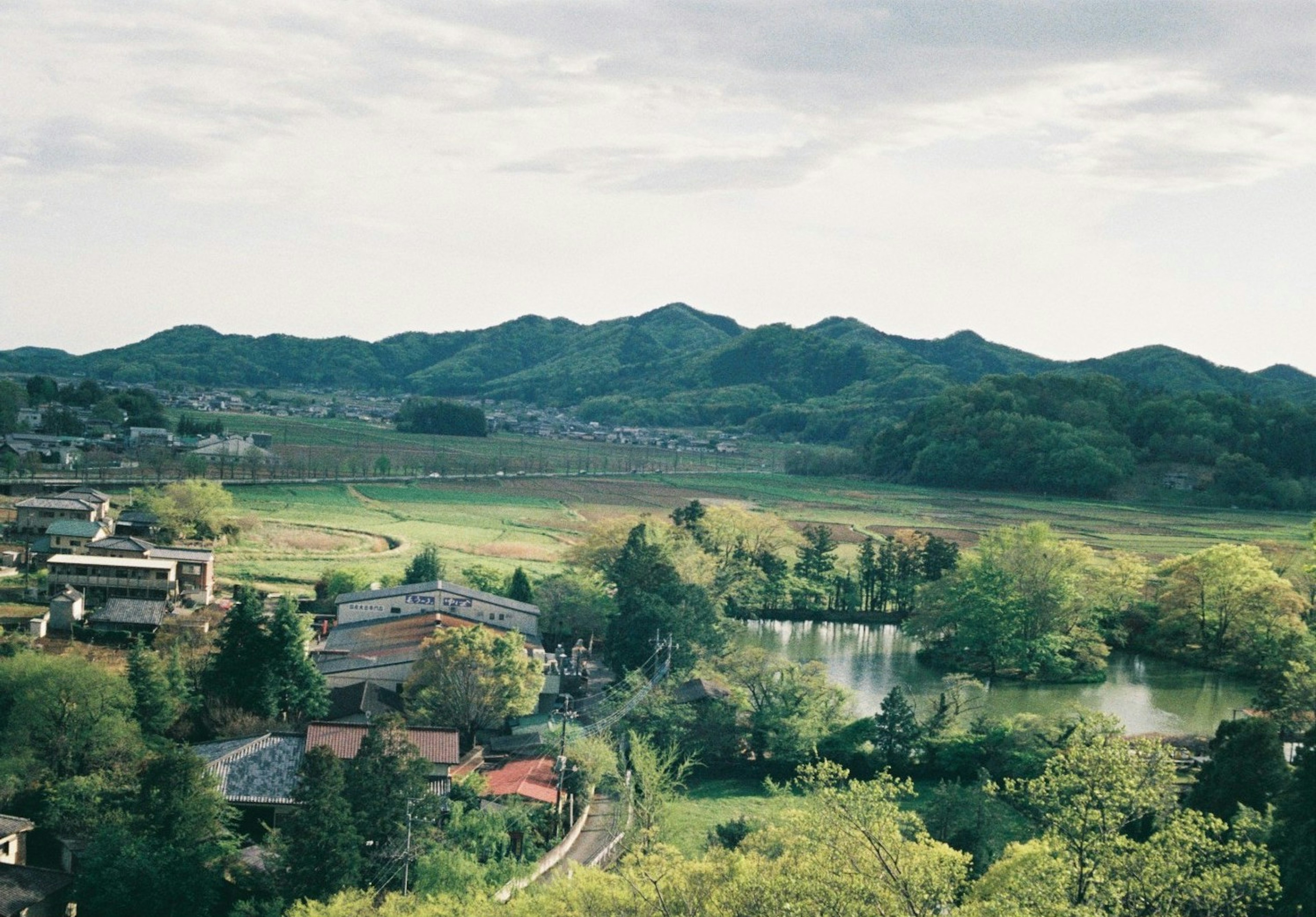 緑豊かな山々と静かな湖が広がる風景