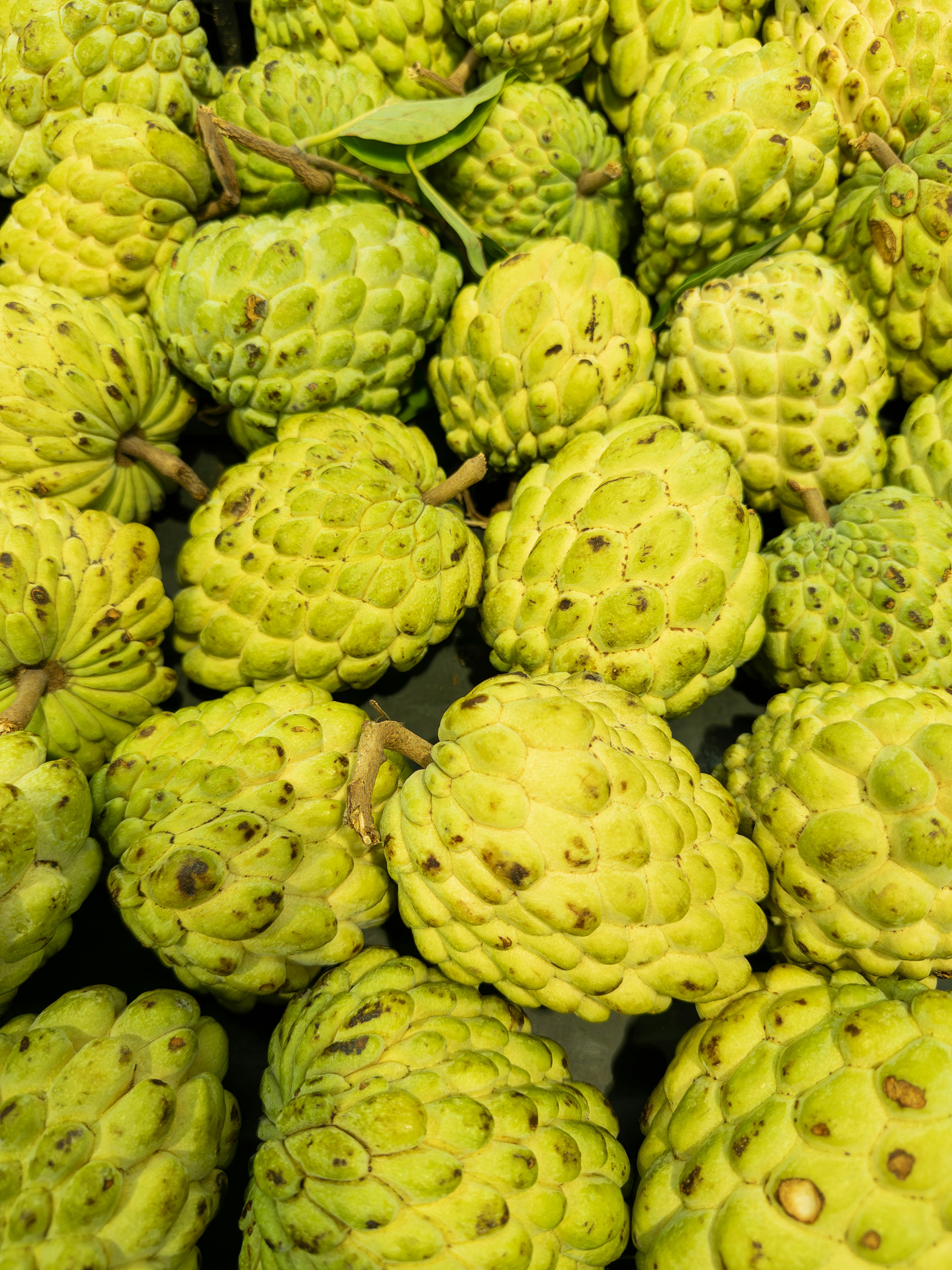 Một bộ sưu tập cherimoya xanh với vỏ có kết cấu