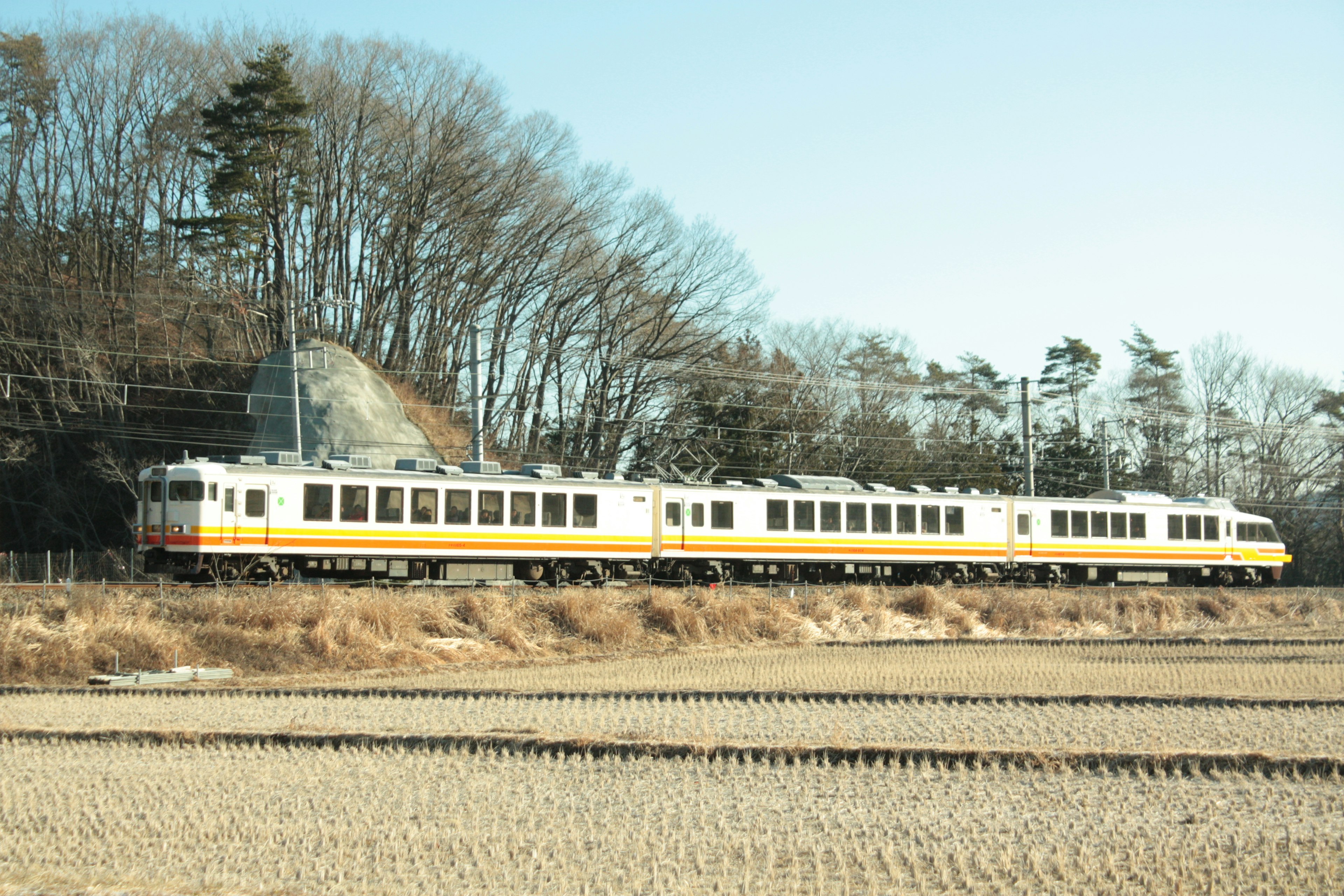 一列黃色和白色的火車在稻田旁行駛