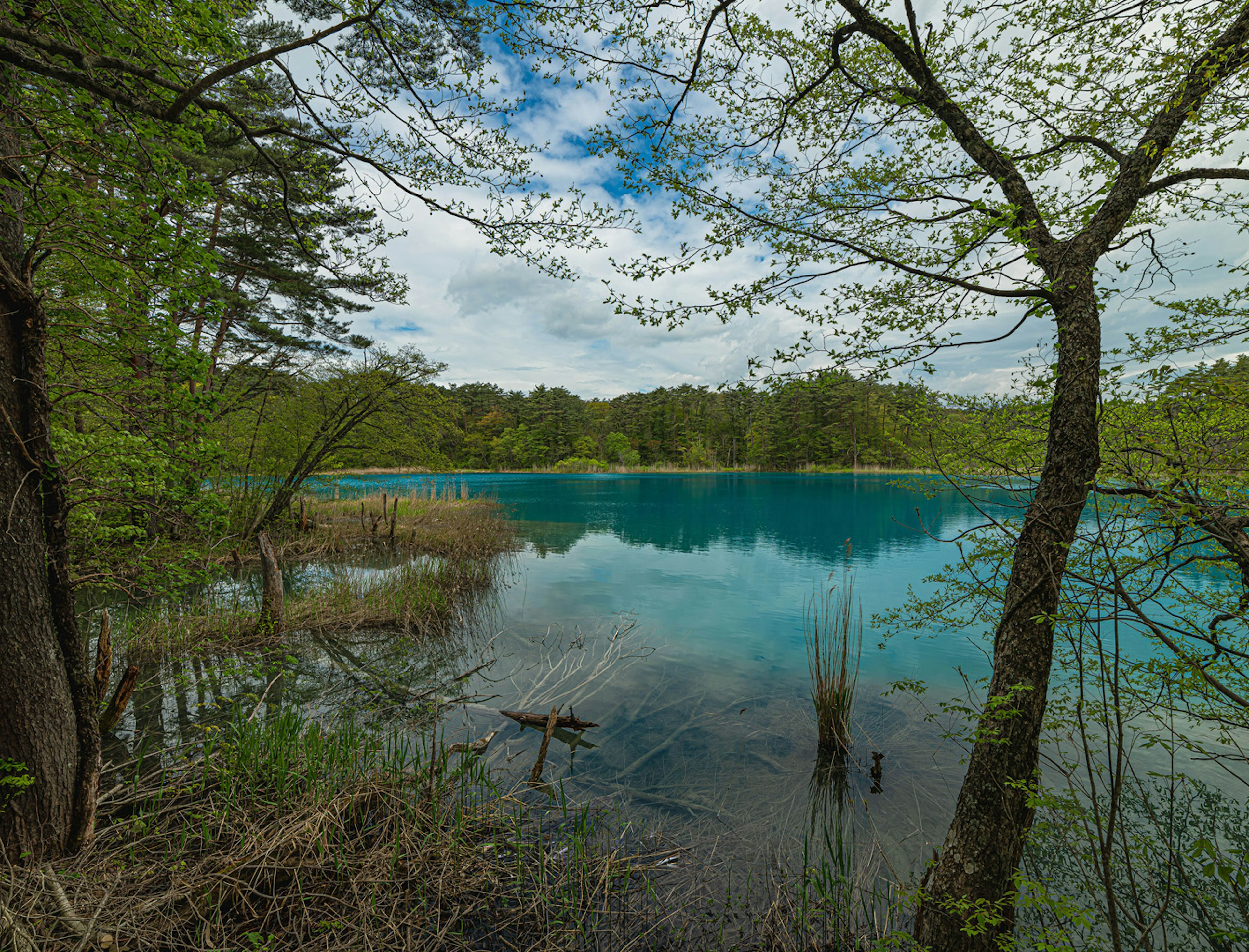 Pemandangan danau biru dikelilingi pohon hijau