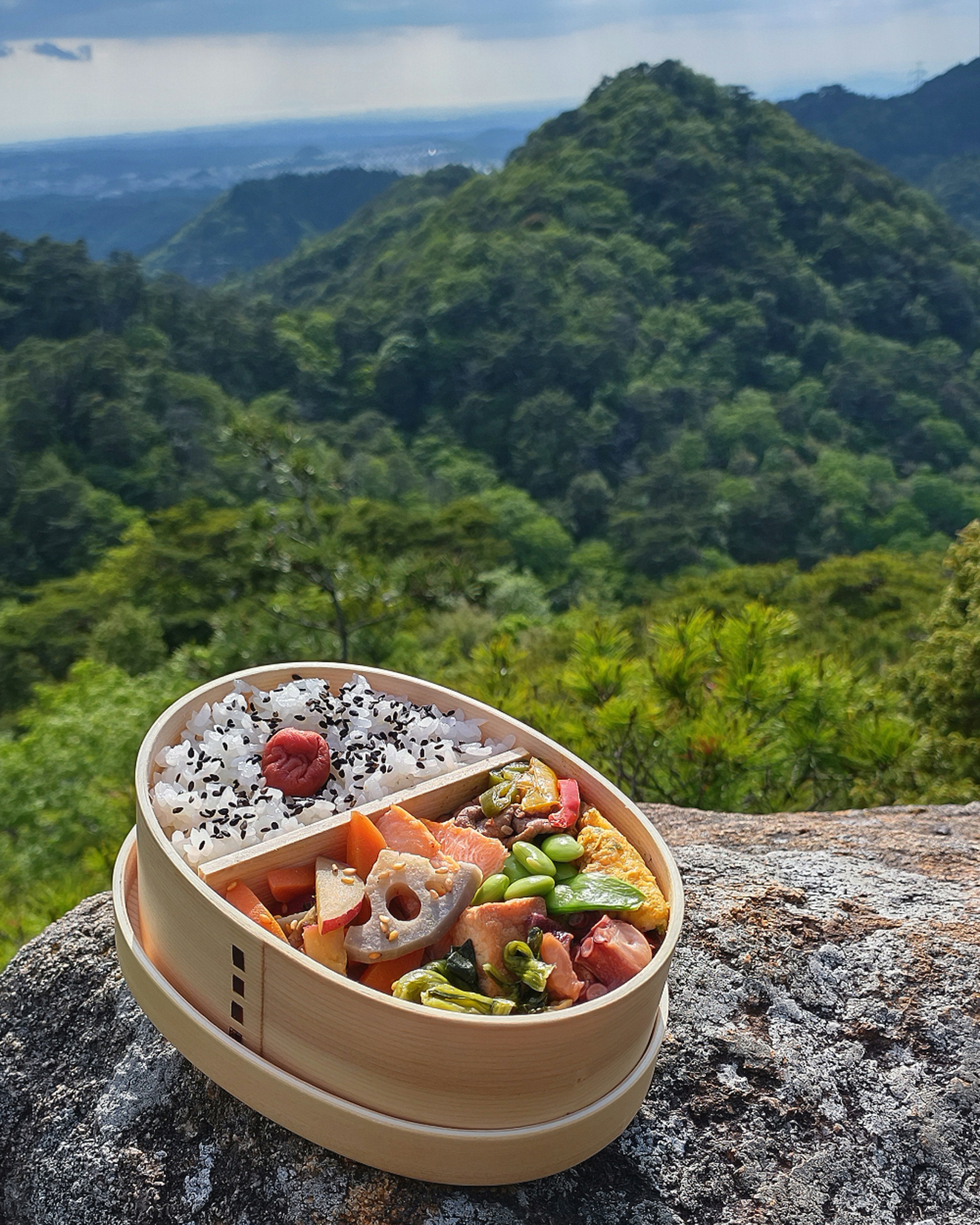 Bento box with colorful food against a mountainous backdrop