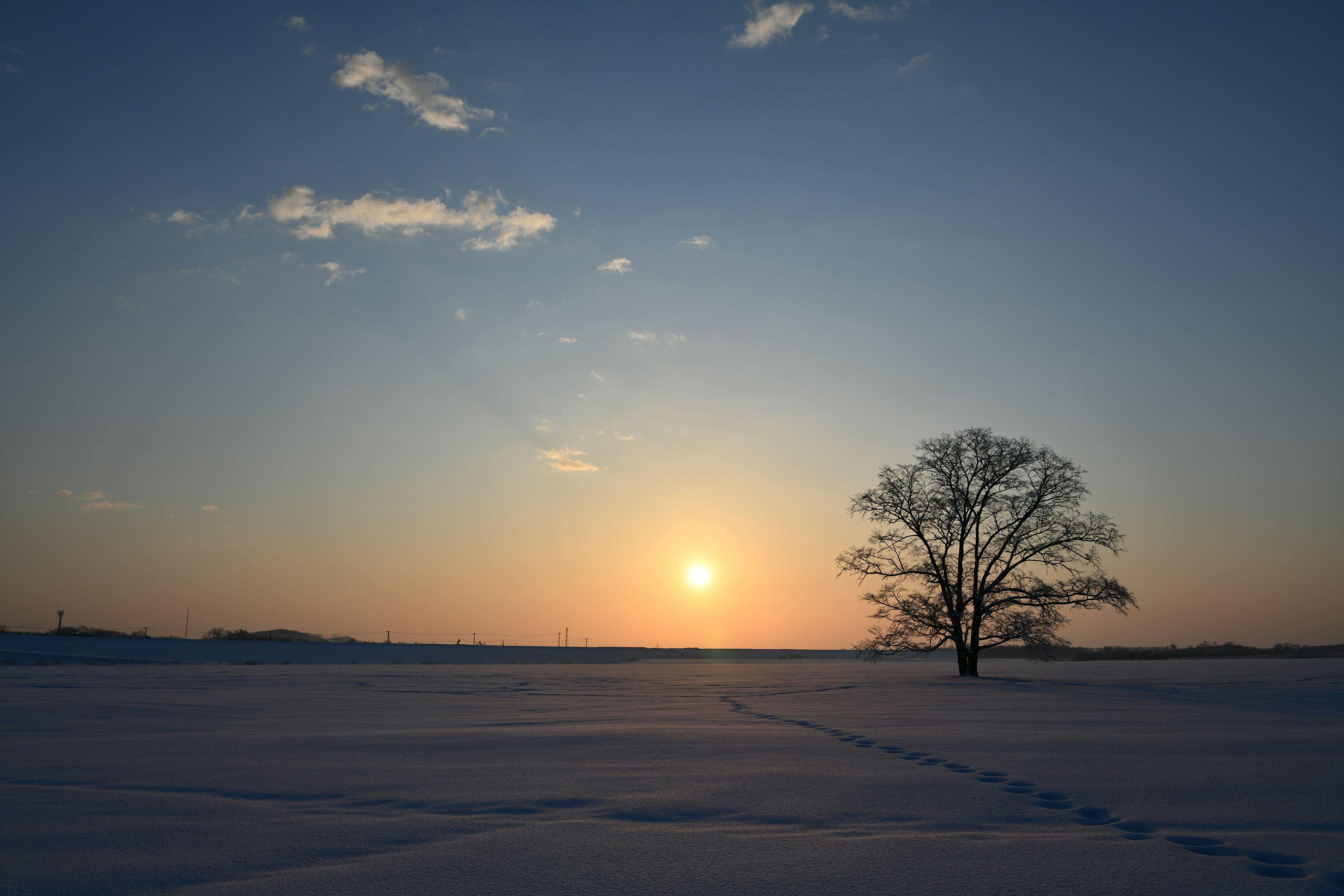 Ein einsamer Baum in einer verschneiten Landschaft mit einem Sonnenuntergang