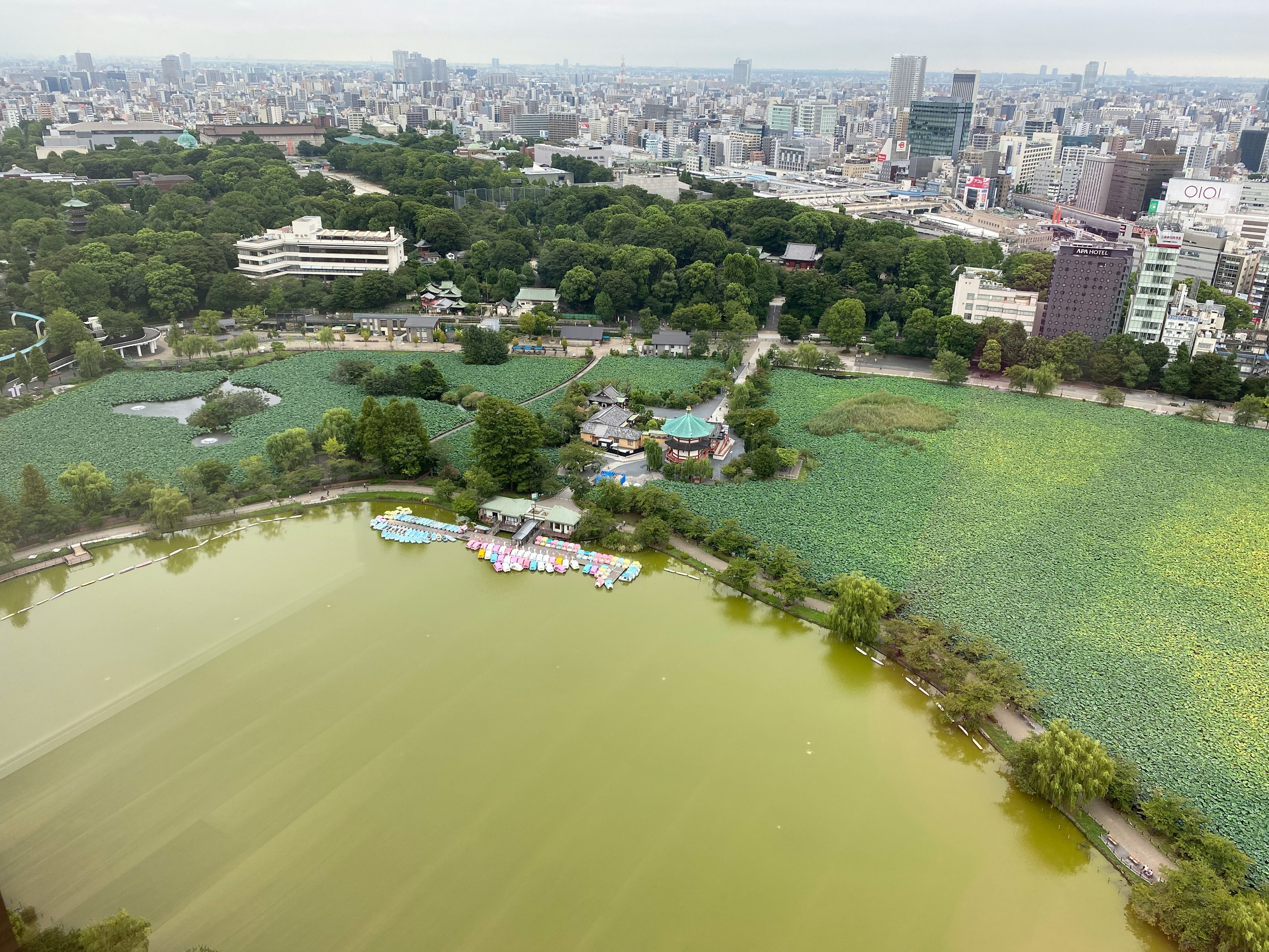 Vista aérea de un parque y un paisaje urbano en Tokio