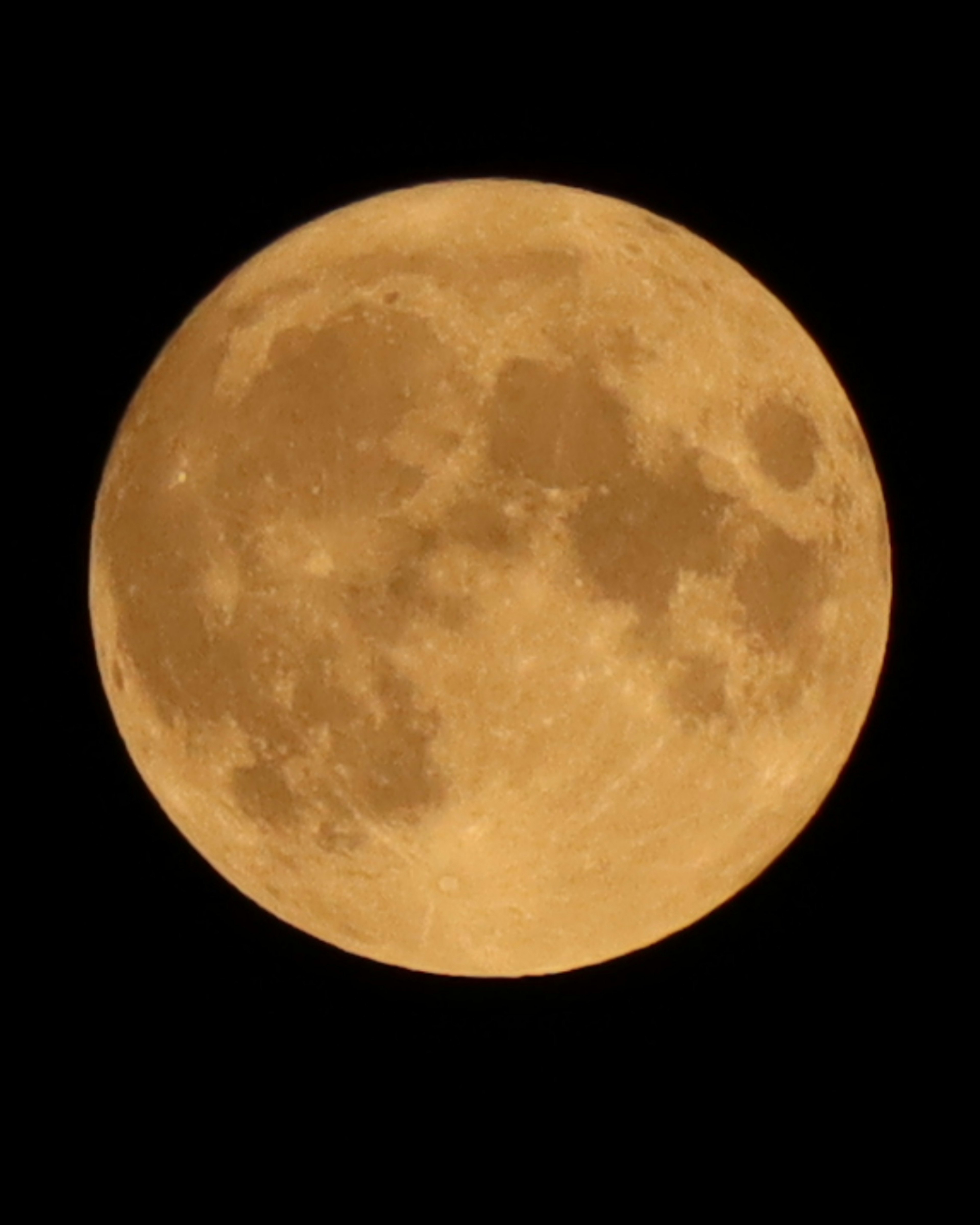 オレンジ色の月が夜空に浮かんでいる