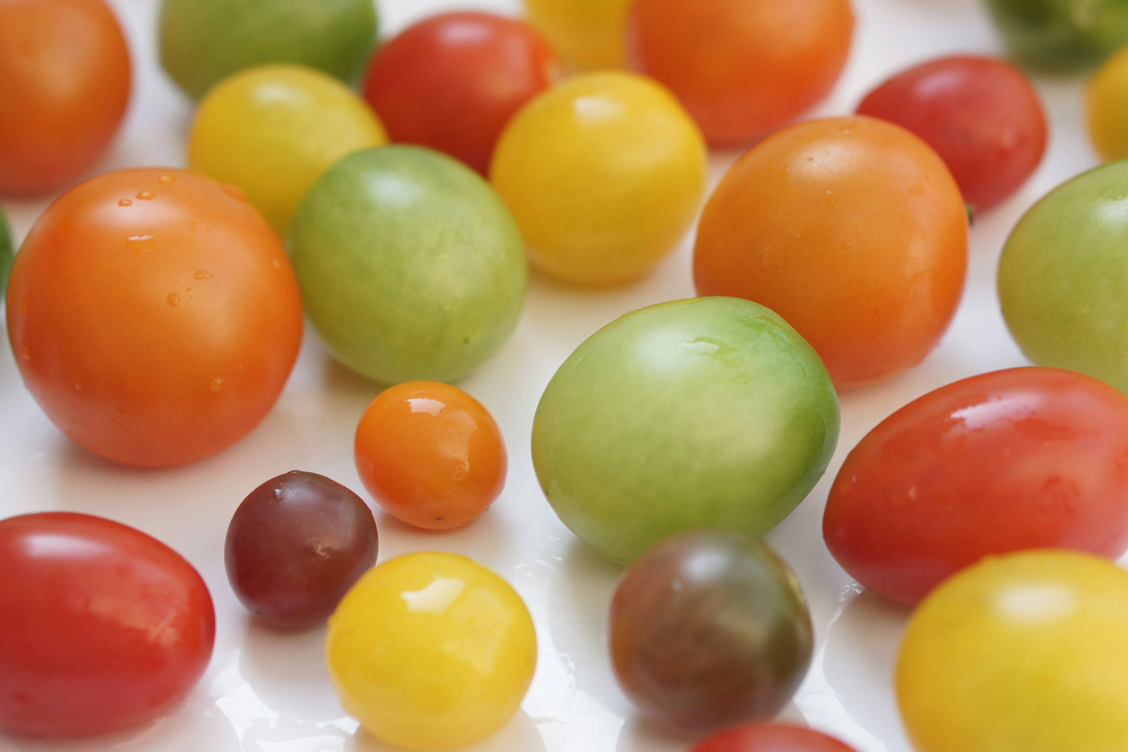 Assortiment coloré de tomates miniatures différentes couleurs et tailles