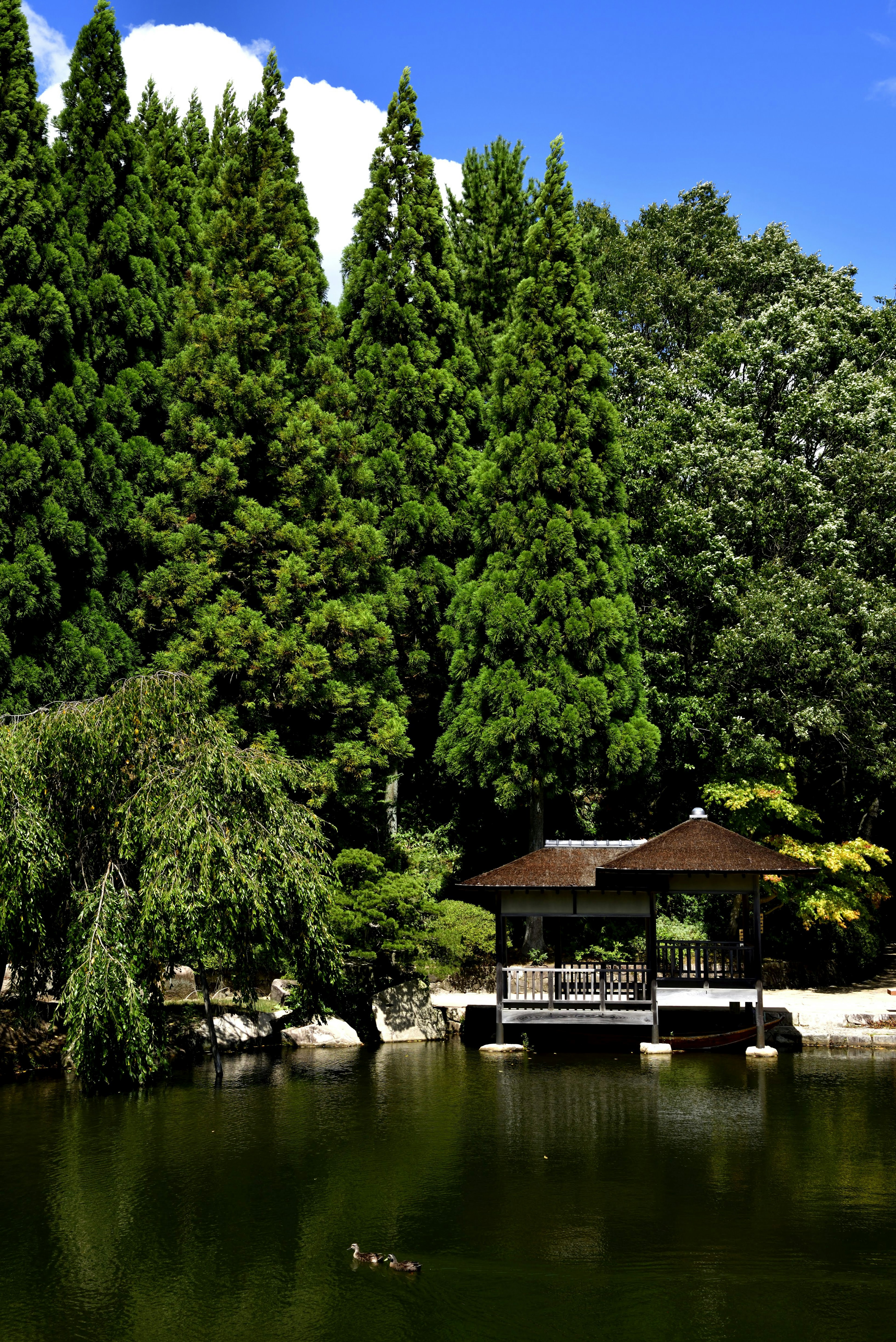 静かな池と緑豊かな木々に囲まれた日本の伝統的な小屋